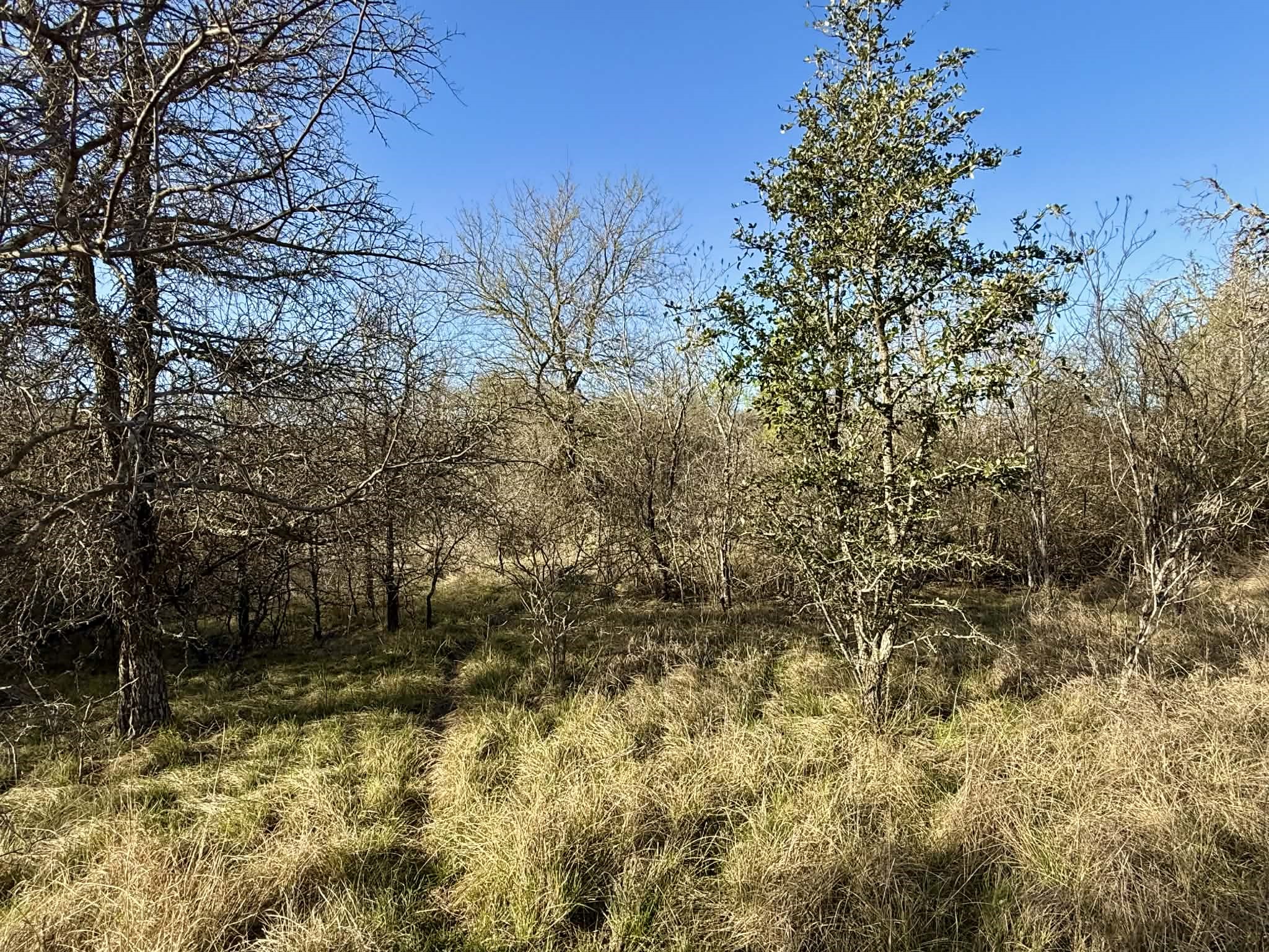 Tbd 20.02 Acres Cr 328 Dublin TX 76446