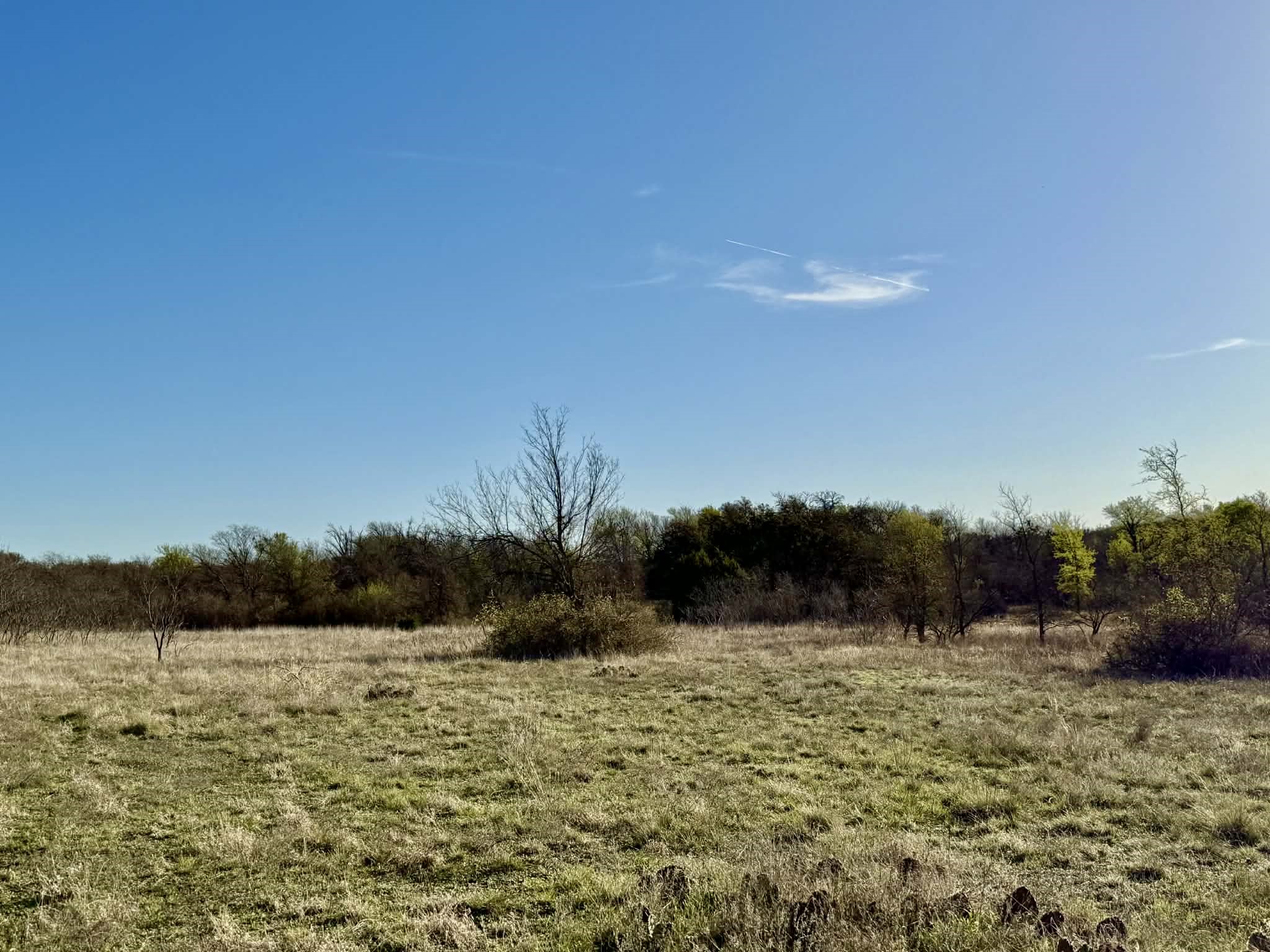 Tbd 20.02 Acres Cr 328 Dublin TX 76446