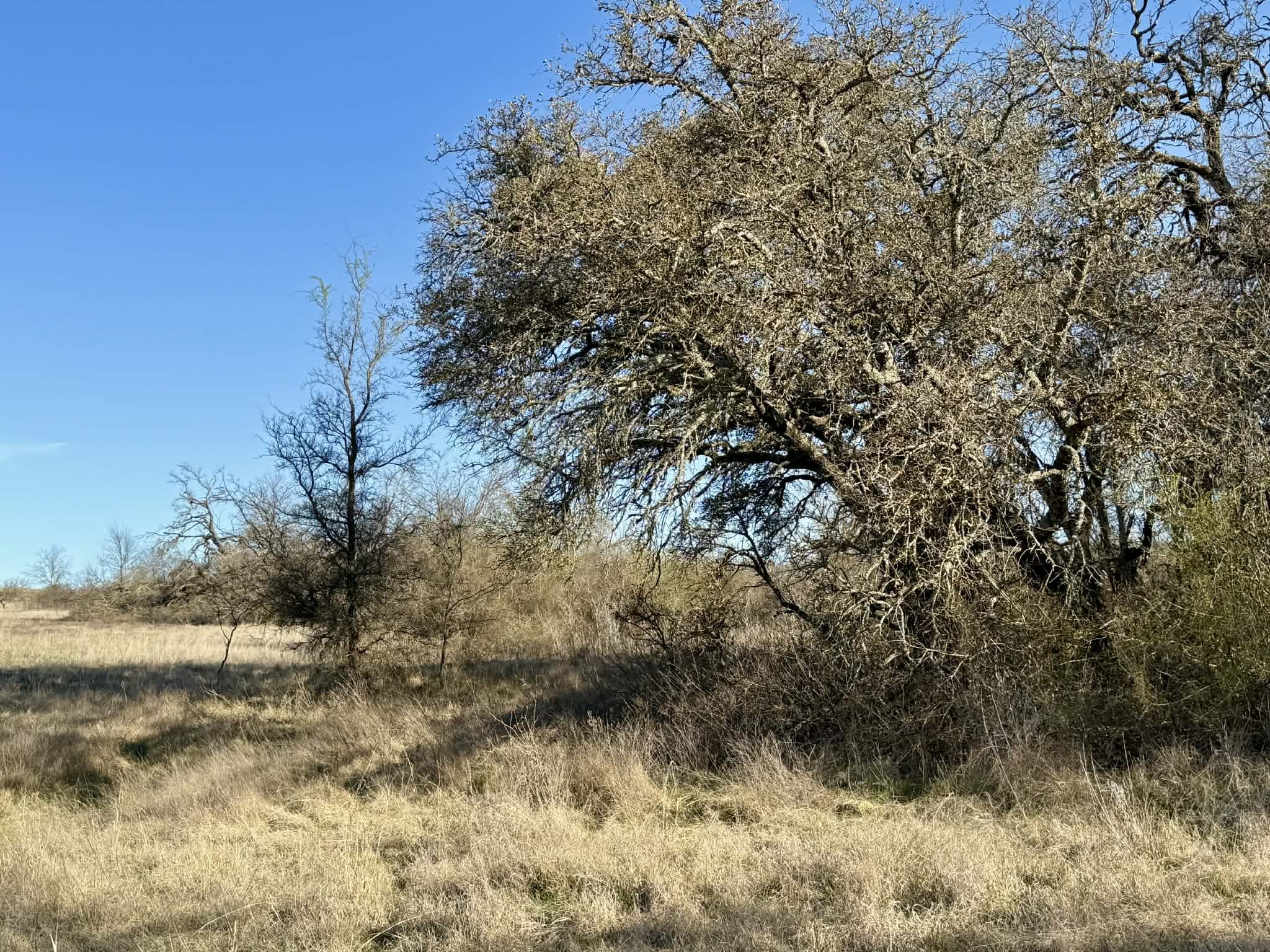 Tbd 20.02 Acres Cr 328 Dublin TX 76446