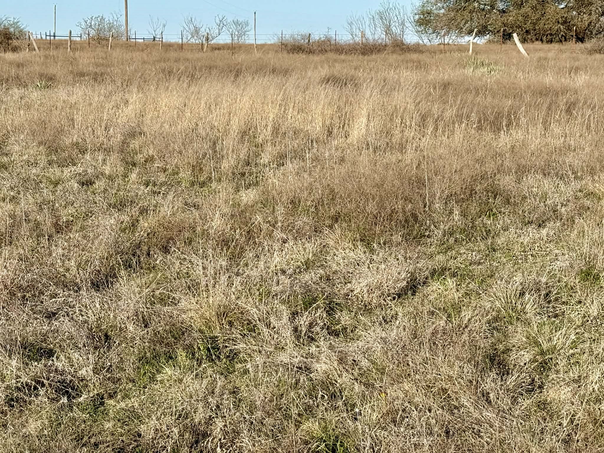 Tbd 20.02 Acres Cr 328 Dublin TX 76446