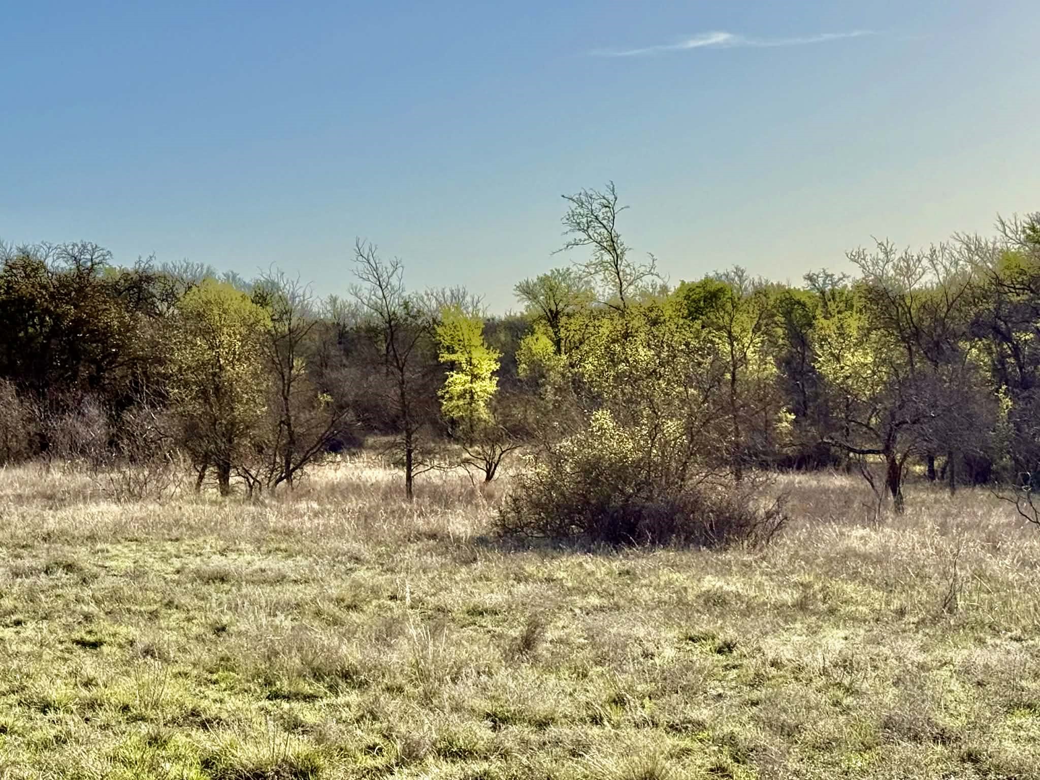 Tbd 20.02 Acres Cr 328 Dublin TX 76446