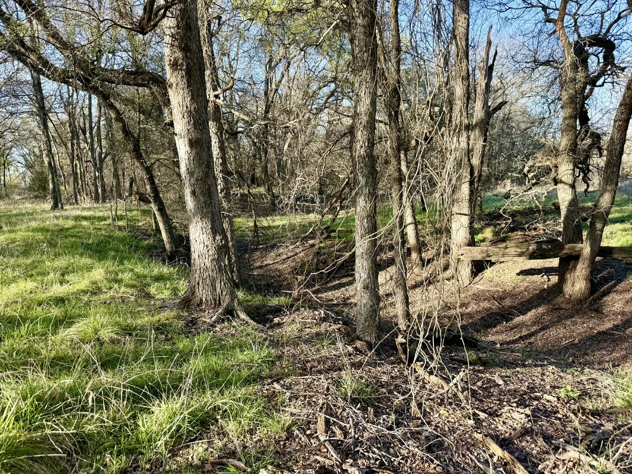Tbd 20.02 Acres Cr 328 Dublin TX 76446