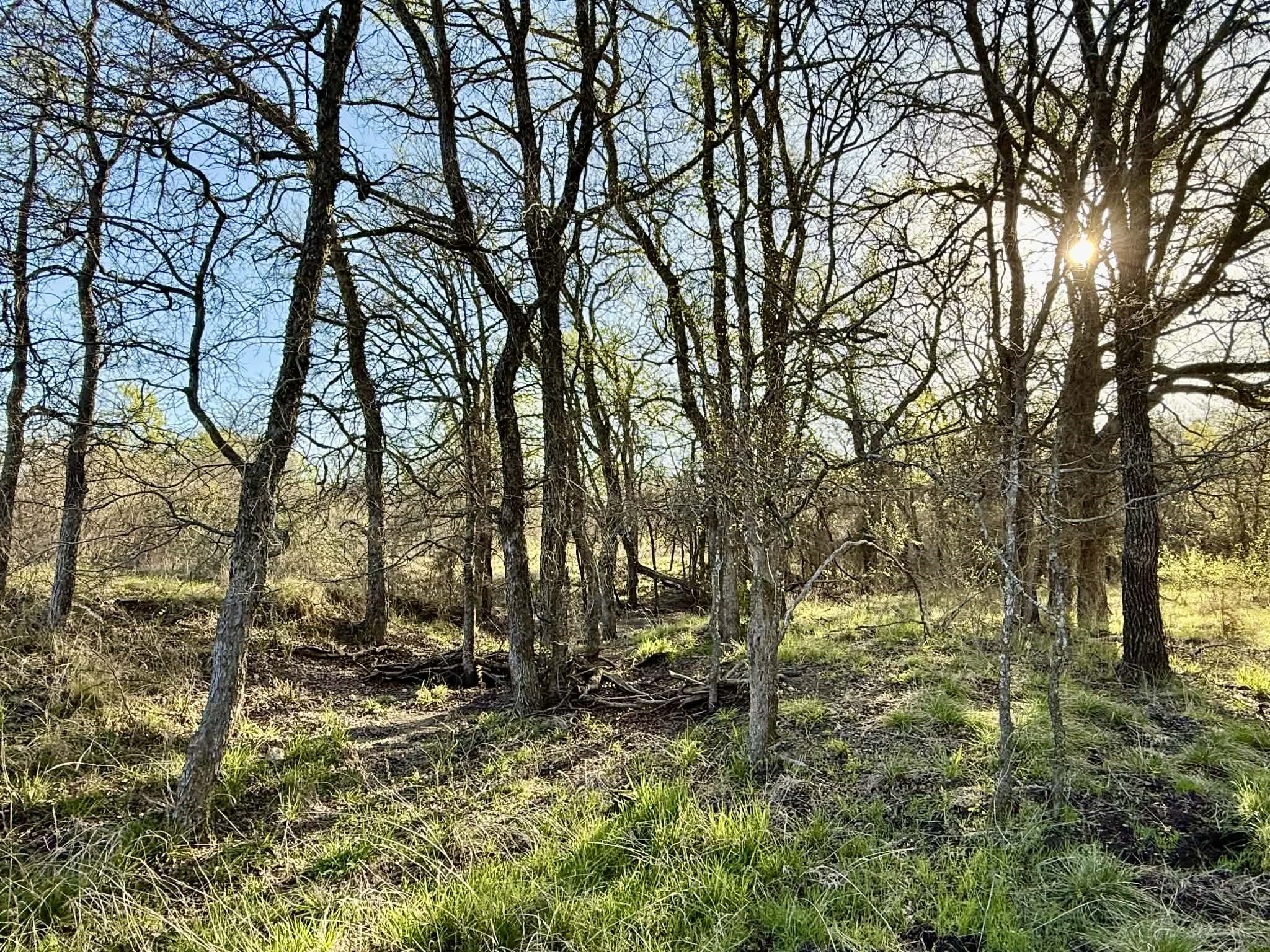 Tbd 20.02 Acres Cr 328 Dublin TX 76446