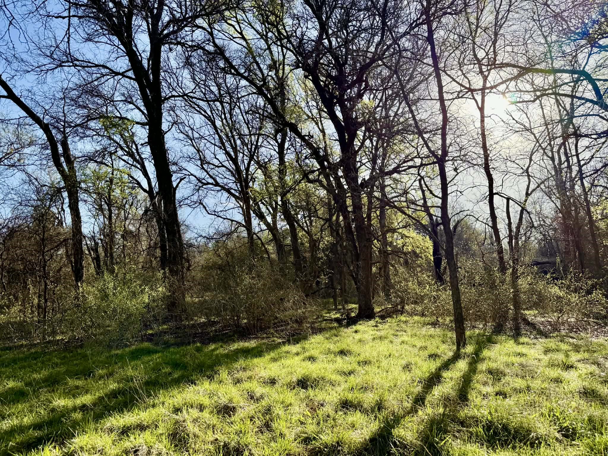 Tbd 20.02 Acres Cr 328 Dublin TX 76446