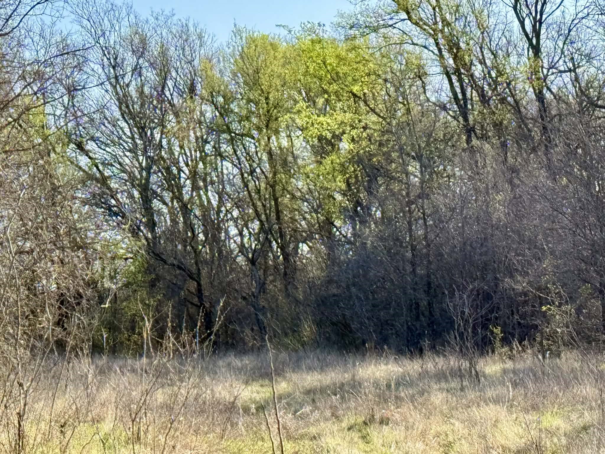 Tbd 20.02 Acres Cr 328 Dublin TX 76446