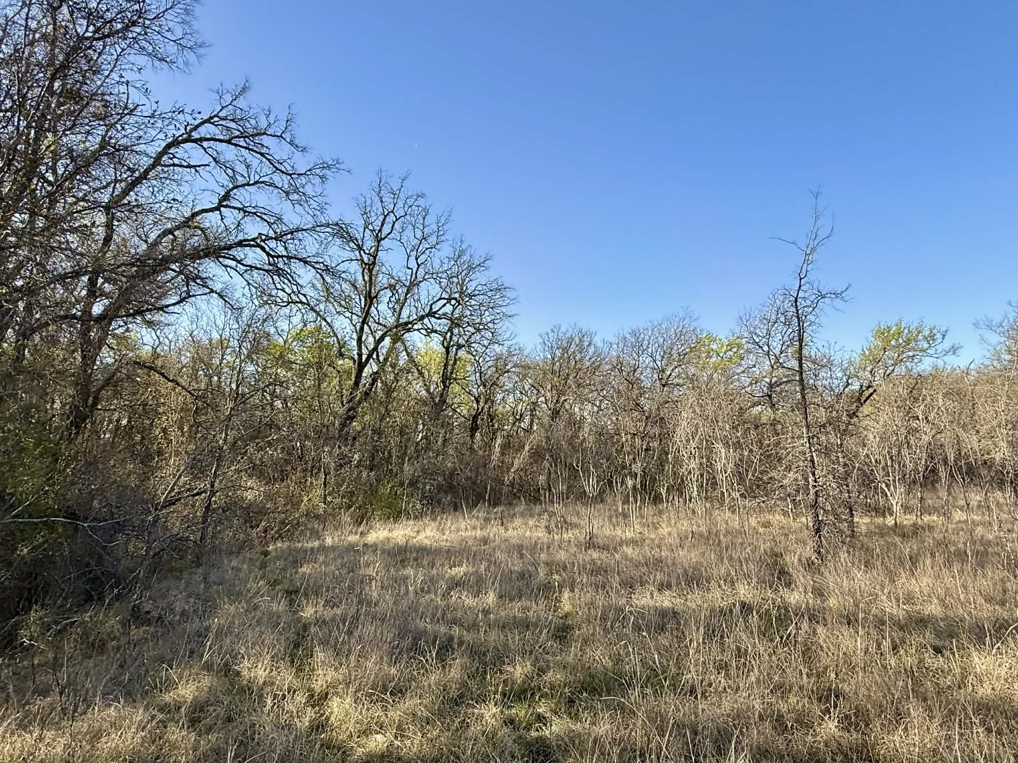 Tbd 20.02 Acres Cr 328 Dublin TX 76446