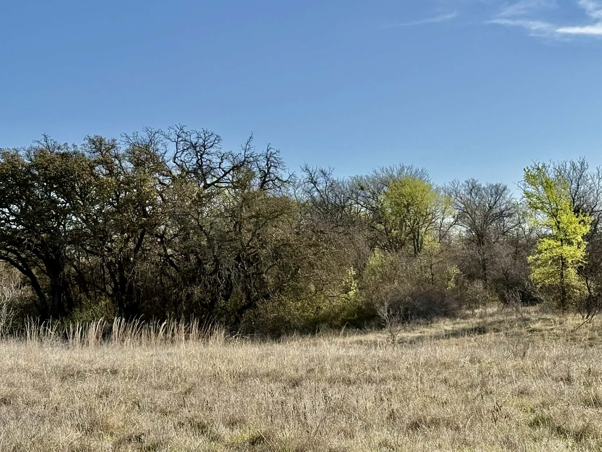Tbd 20.02 Acres Cr 328 Dublin TX 76446