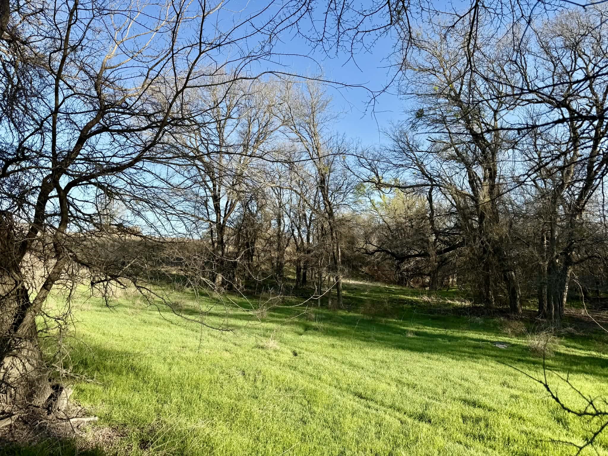 Tbd 20.02 Acres Cr 328 Dublin TX 76446