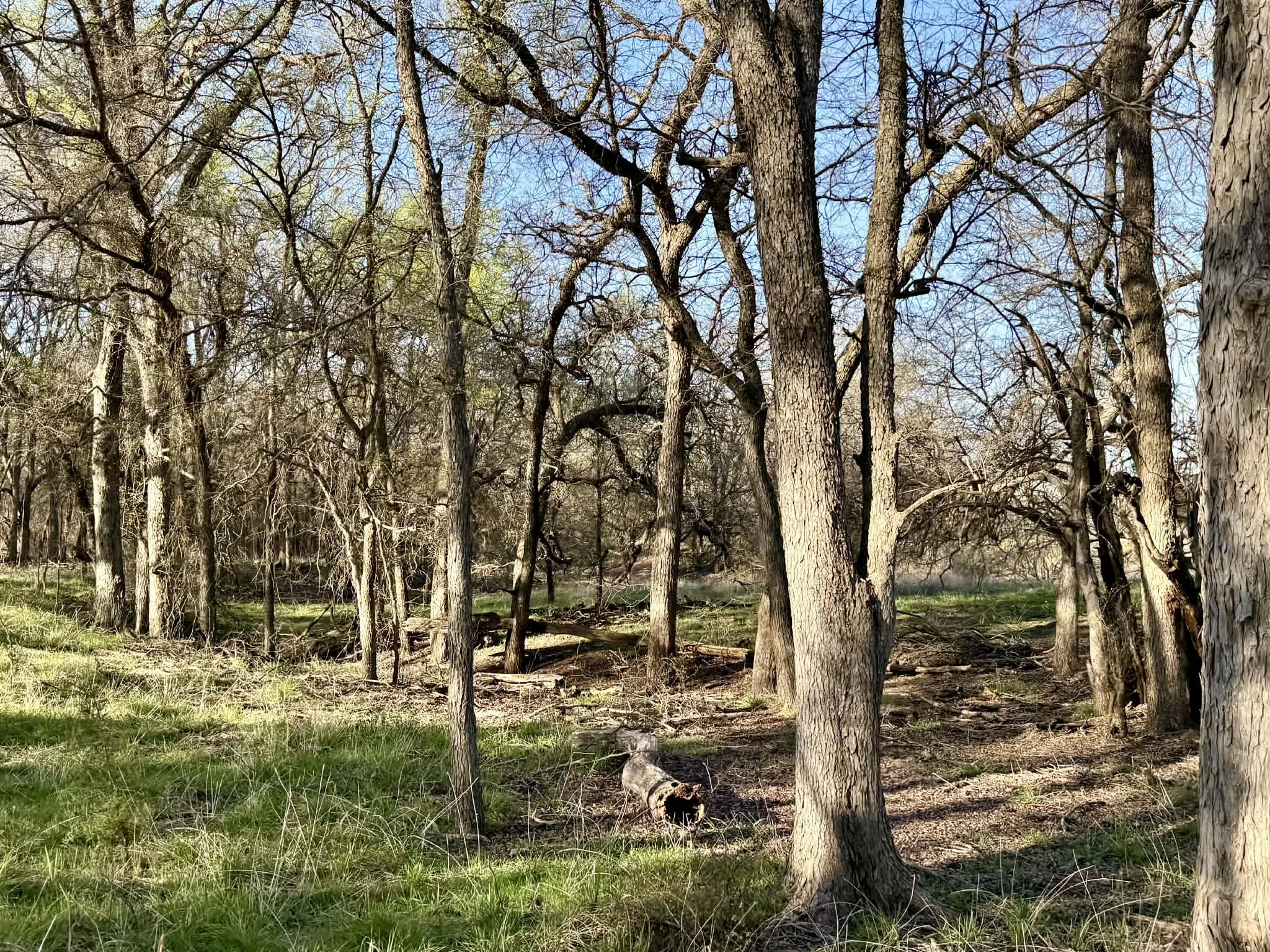 Tbd 20.02 Acres Cr 328 Dublin TX 76446
