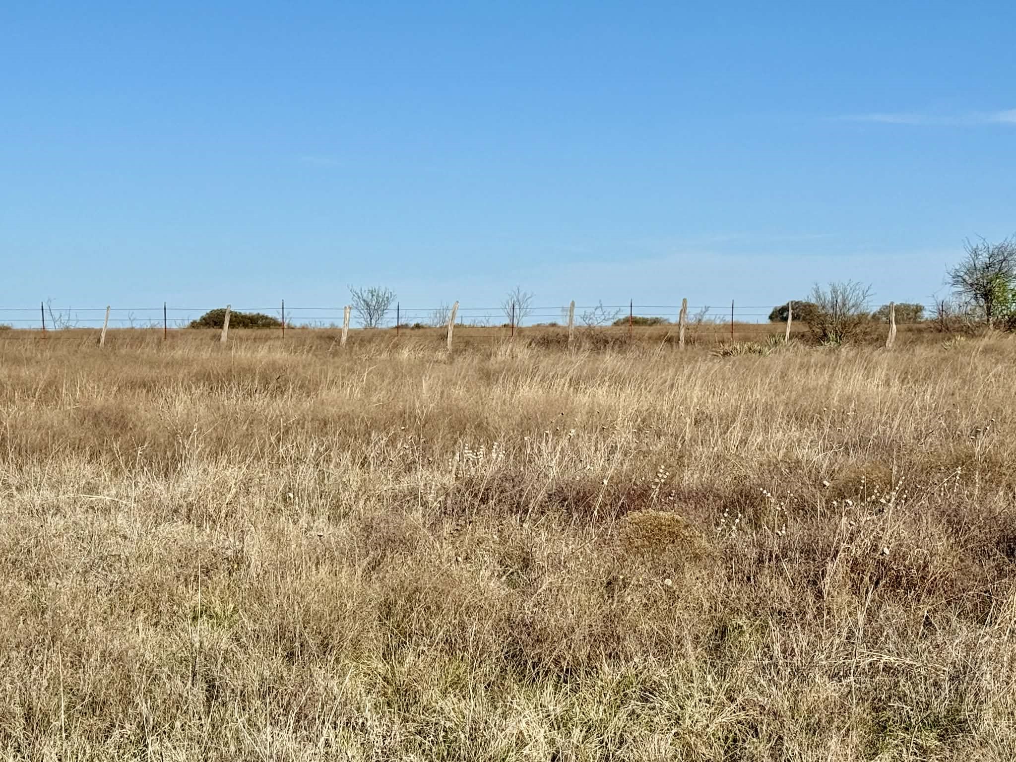 Tbd 20.02 Acres Cr 328 Dublin TX 76446