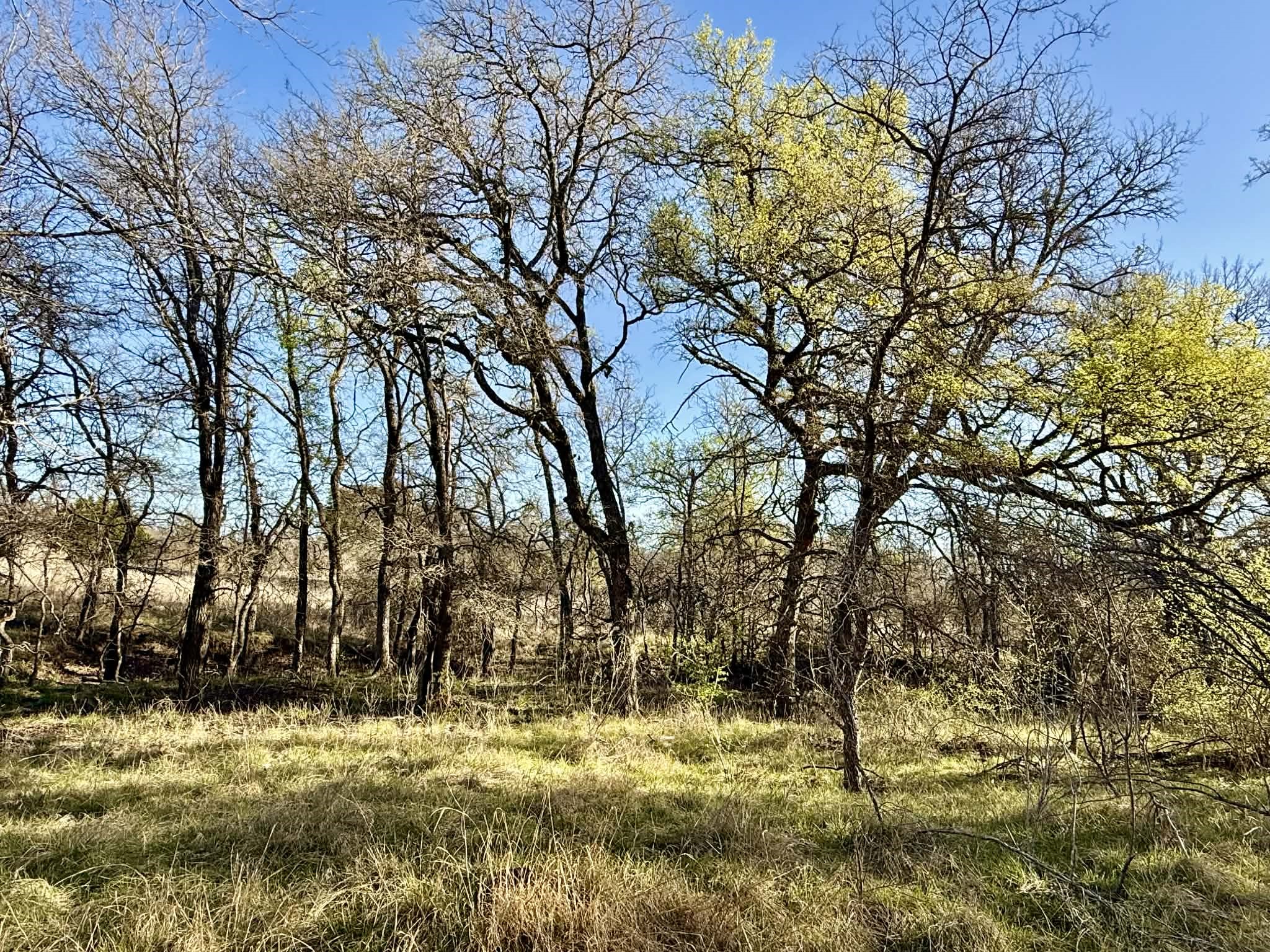 Tbd 20.02 Acres Cr 328 Dublin TX 76446