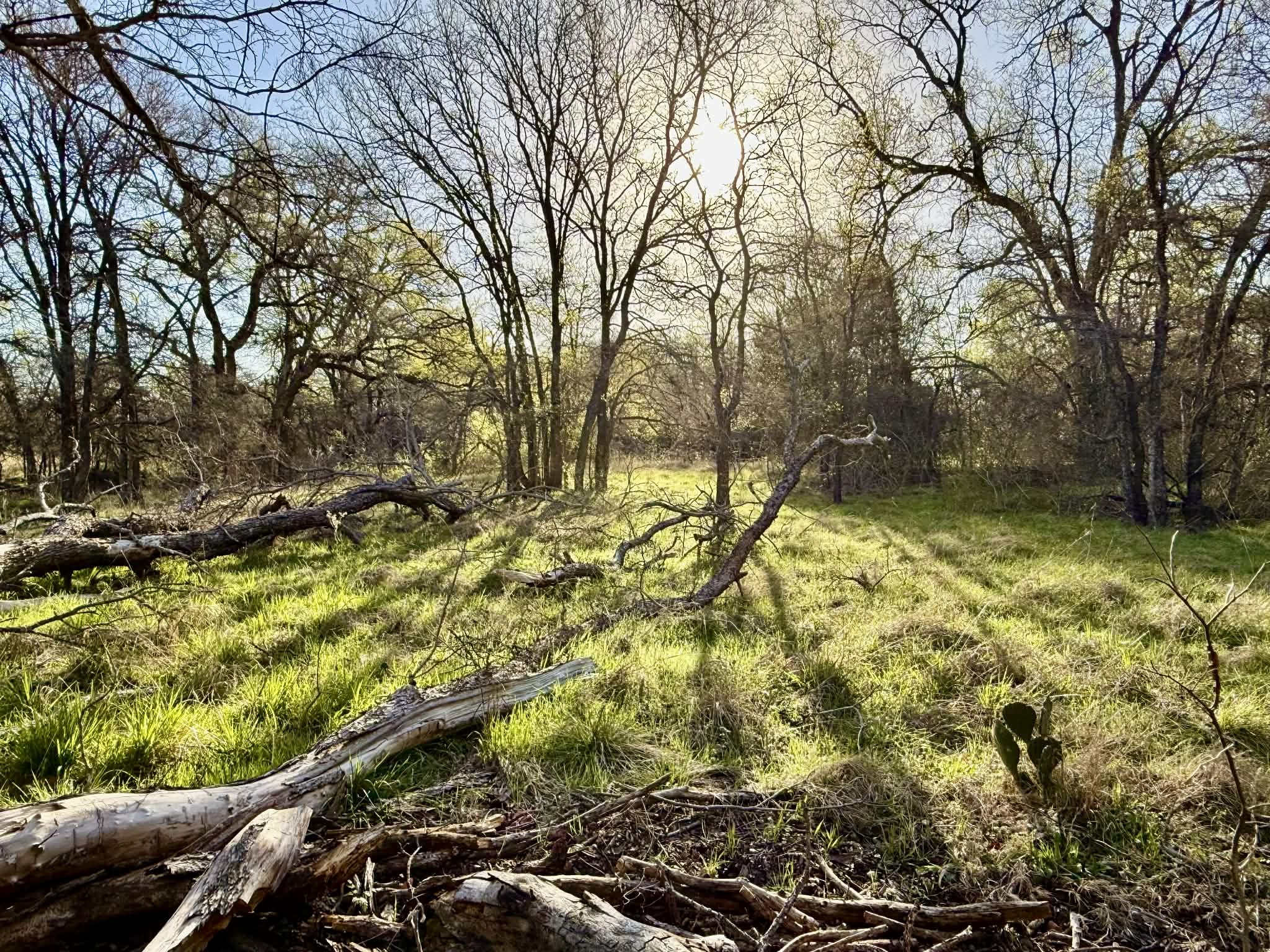 Tbd 20.02 Acres Cr 328 Dublin TX 76446