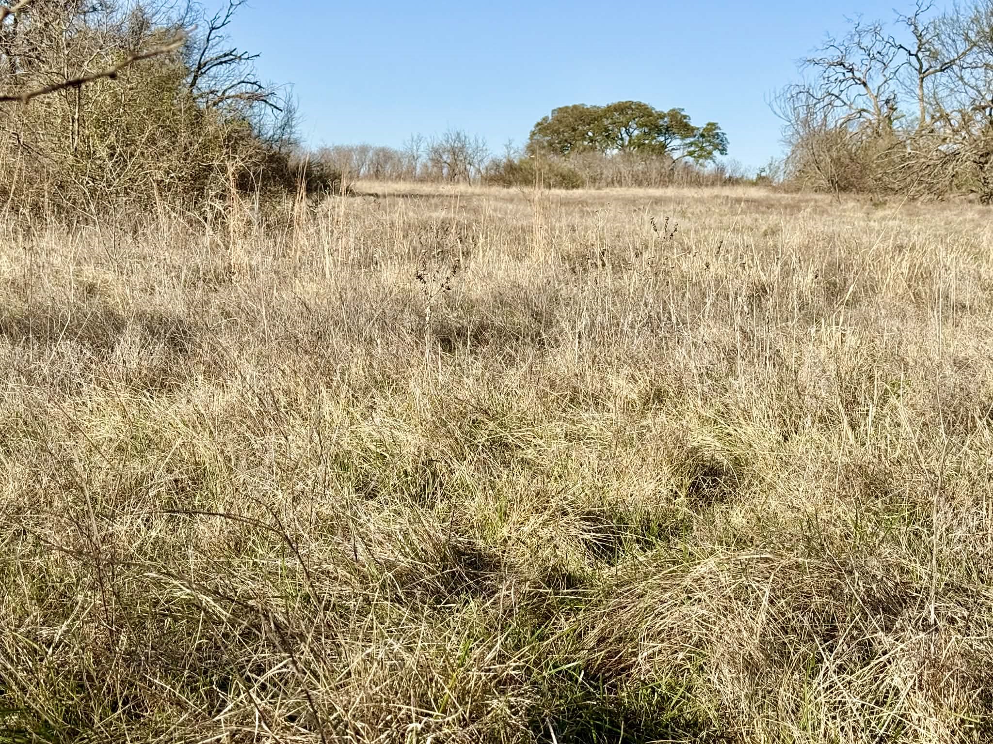 Tbd 20.02 Acres Cr 328 Dublin TX 76446