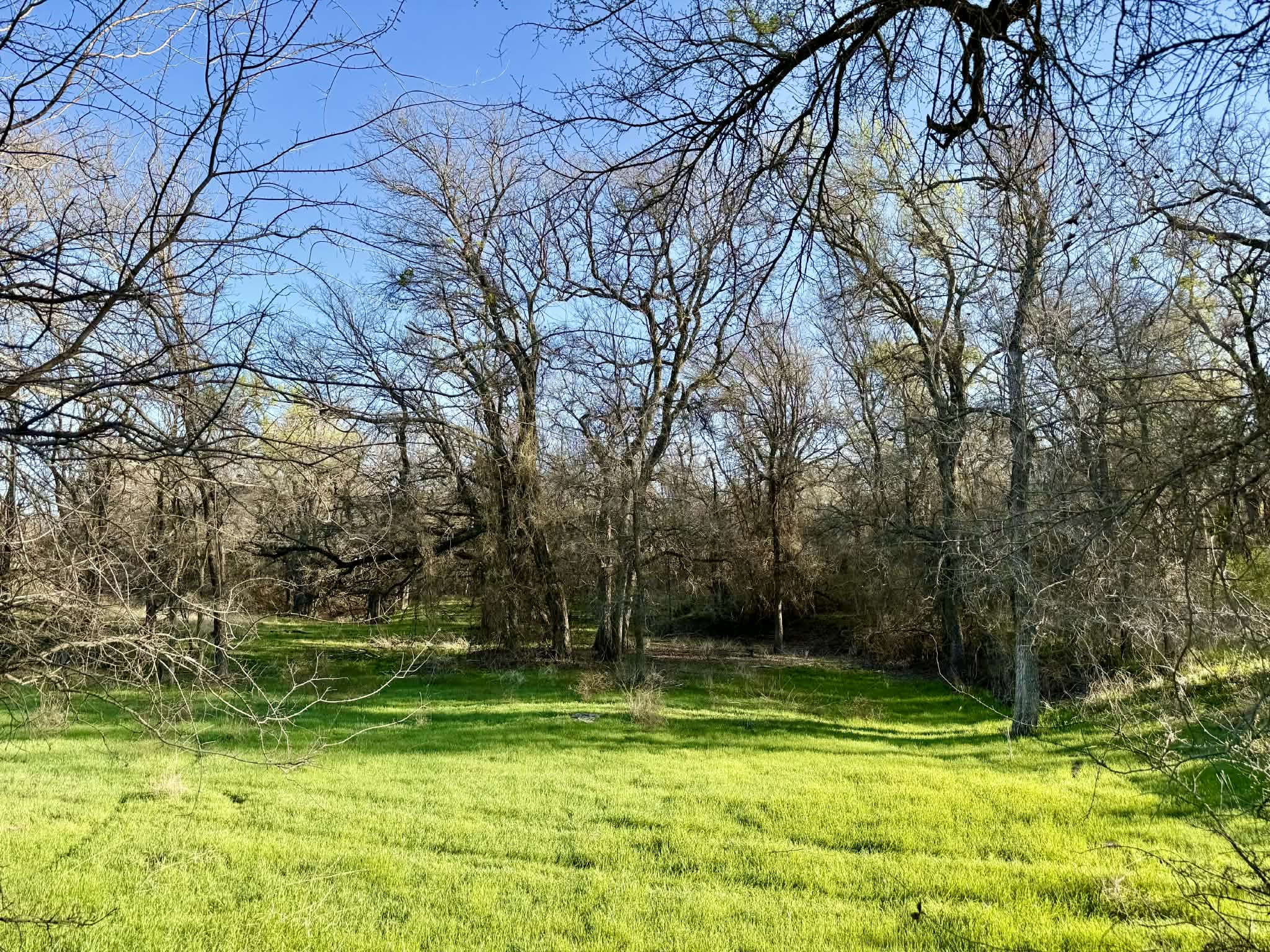 Tbd 20.02 Acres Cr 328 Dublin TX 76446