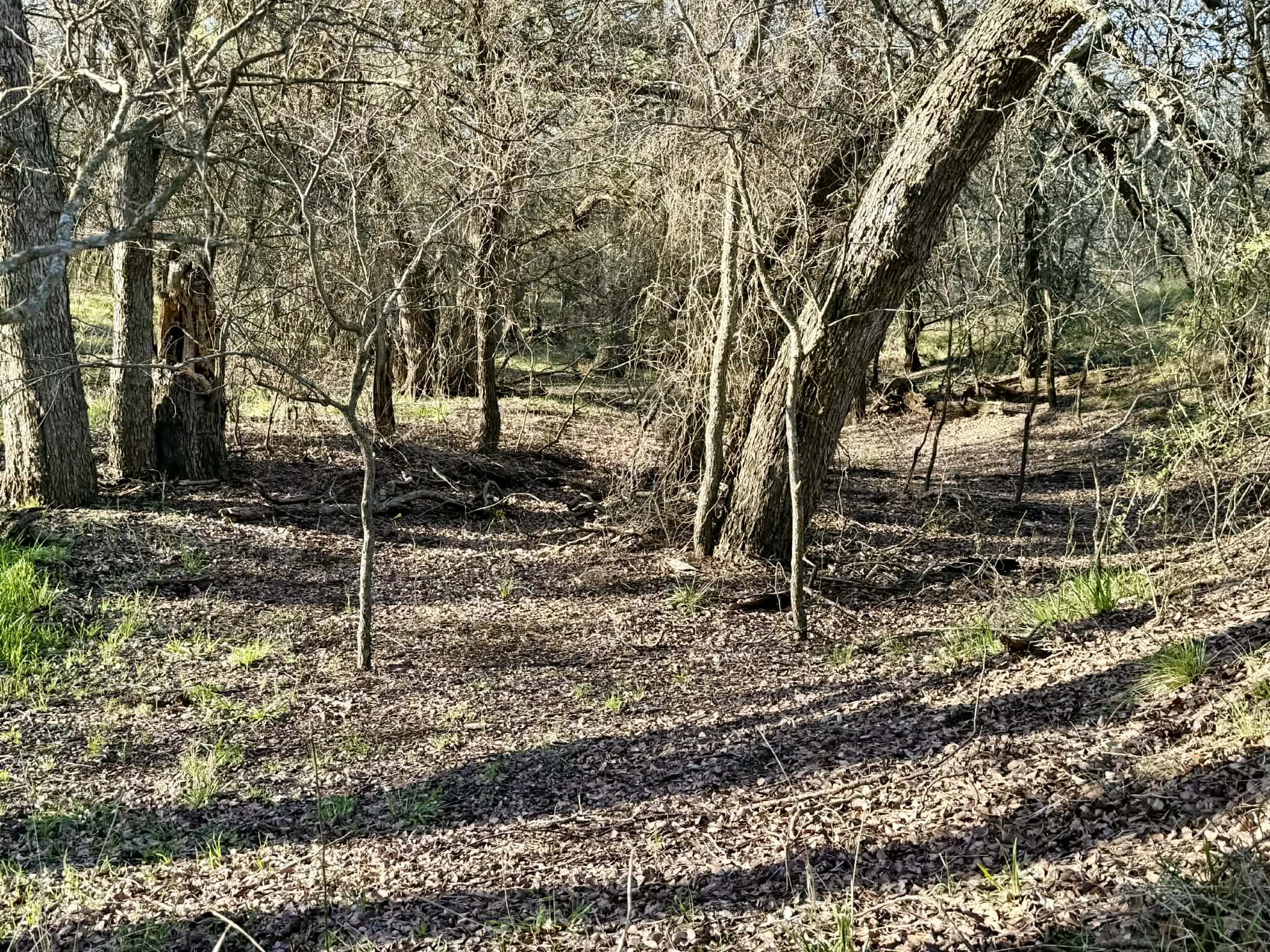 Tbd 20.02 Acres Cr 328 Dublin TX 76446
