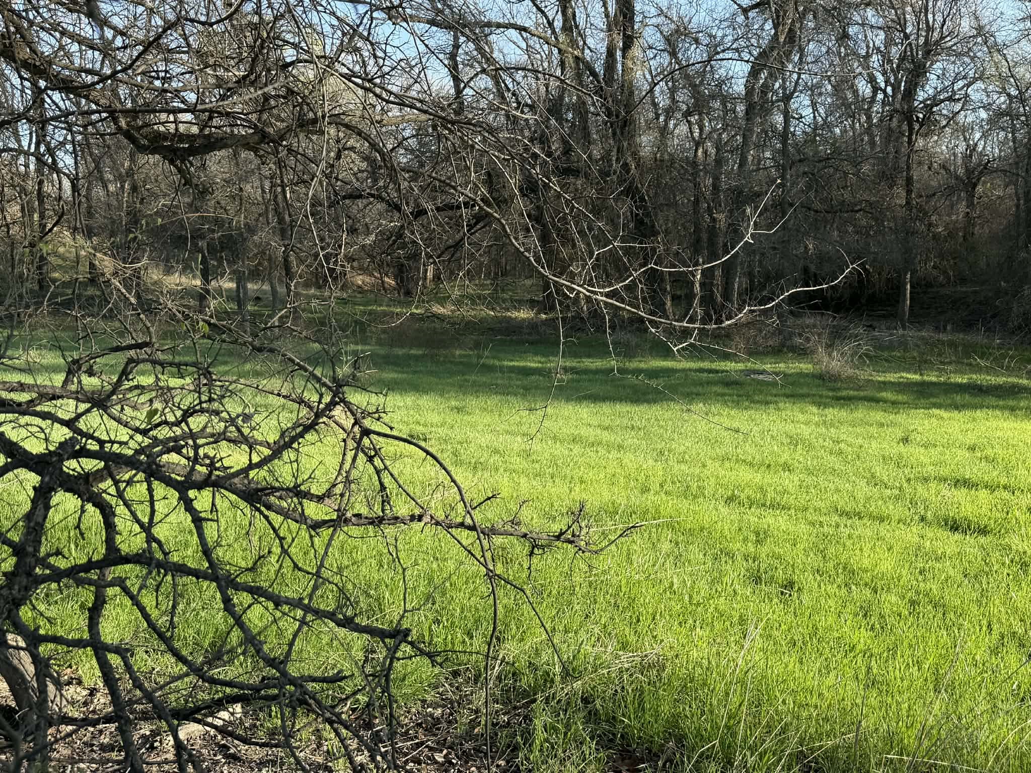 Tbd 20.02 Acres Cr 328 Dublin TX 76446