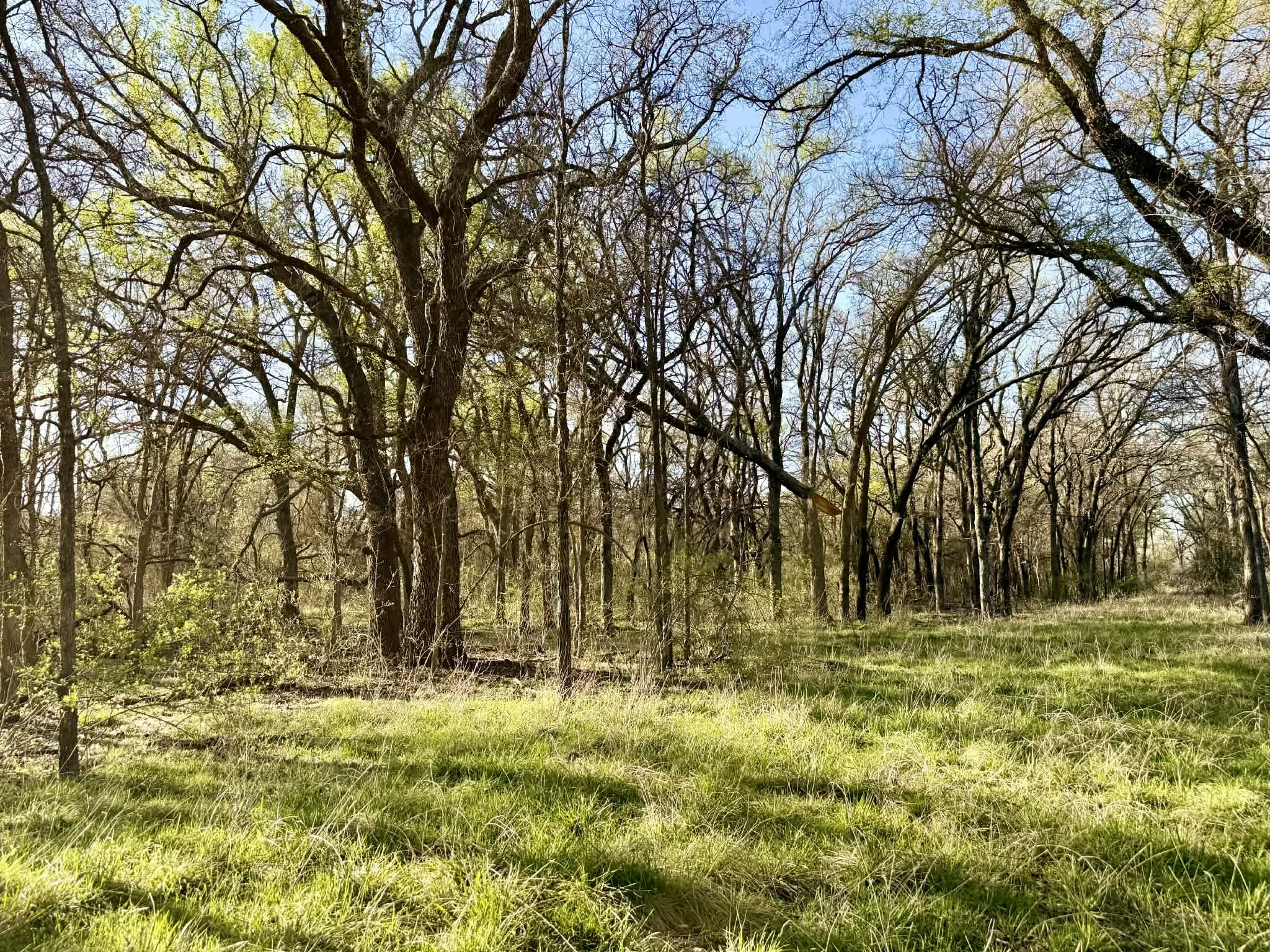 Tbd 20.02 Acres Cr 328 Dublin TX 76446