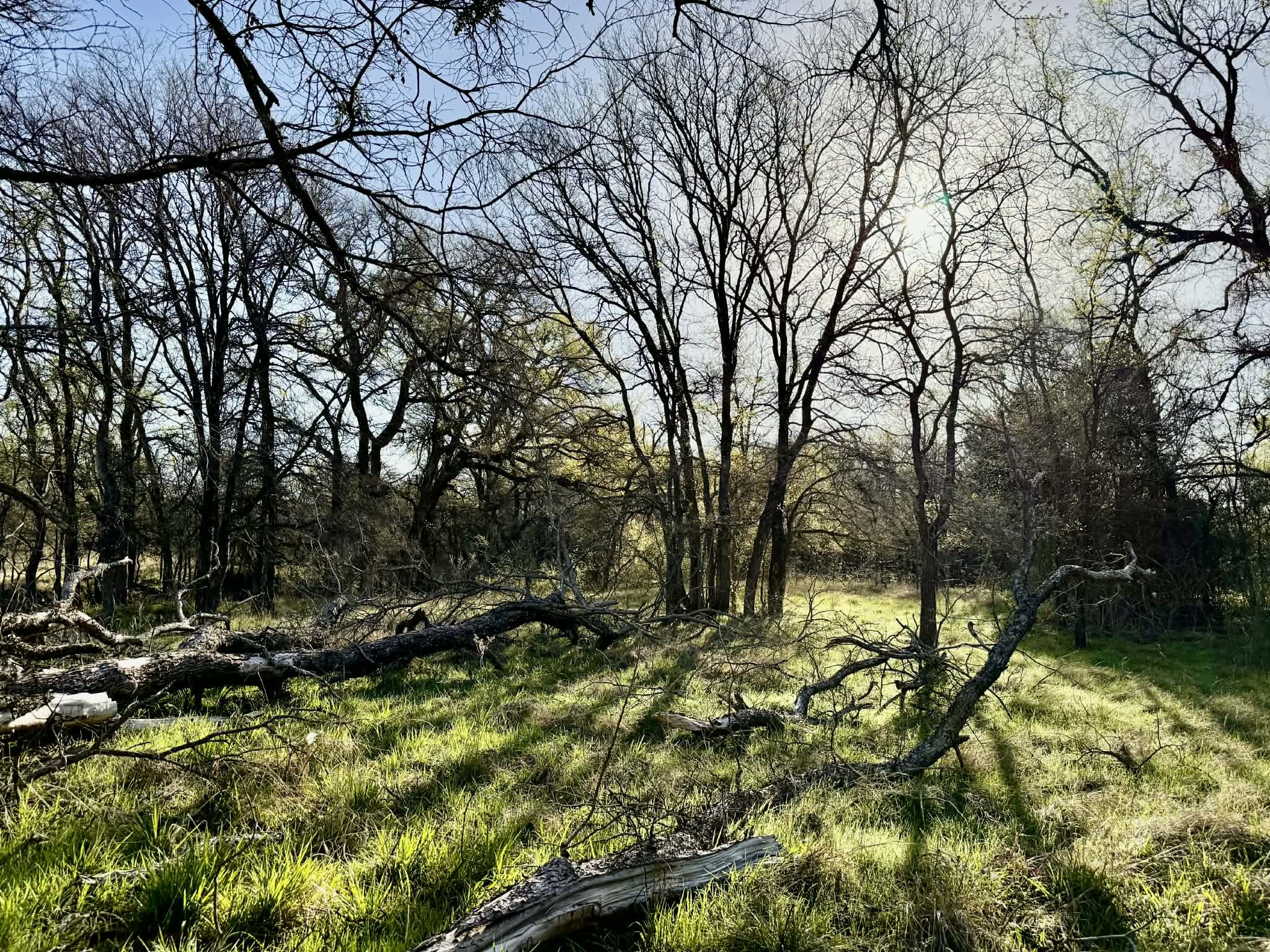 Tbd 20.02 Acres Cr 328 Dublin TX 76446