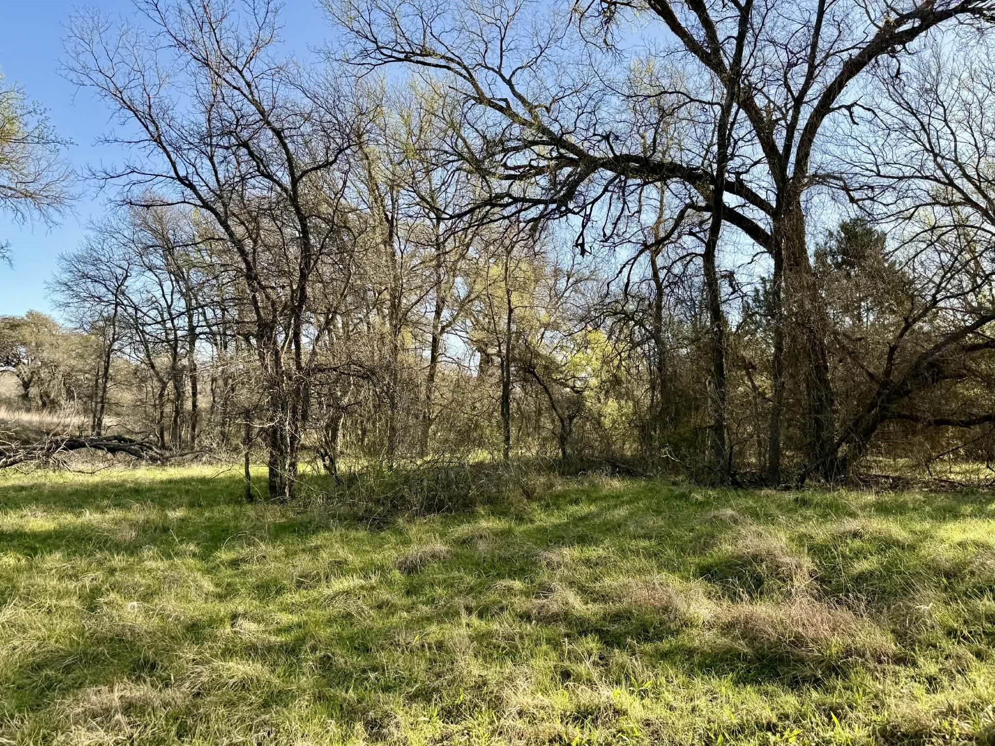 Tbd 20.02 Acres Cr 328 Dublin TX 76446