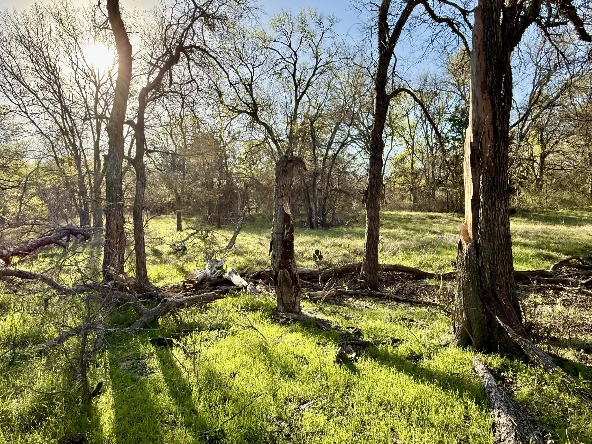 Tbd 20.02 Acres Cr 328 Dublin TX 76446