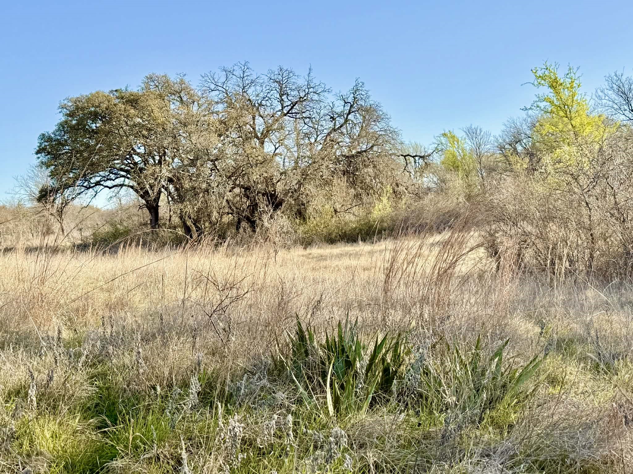 Tbd 20.02 Acres Cr 328 Dublin TX 76446