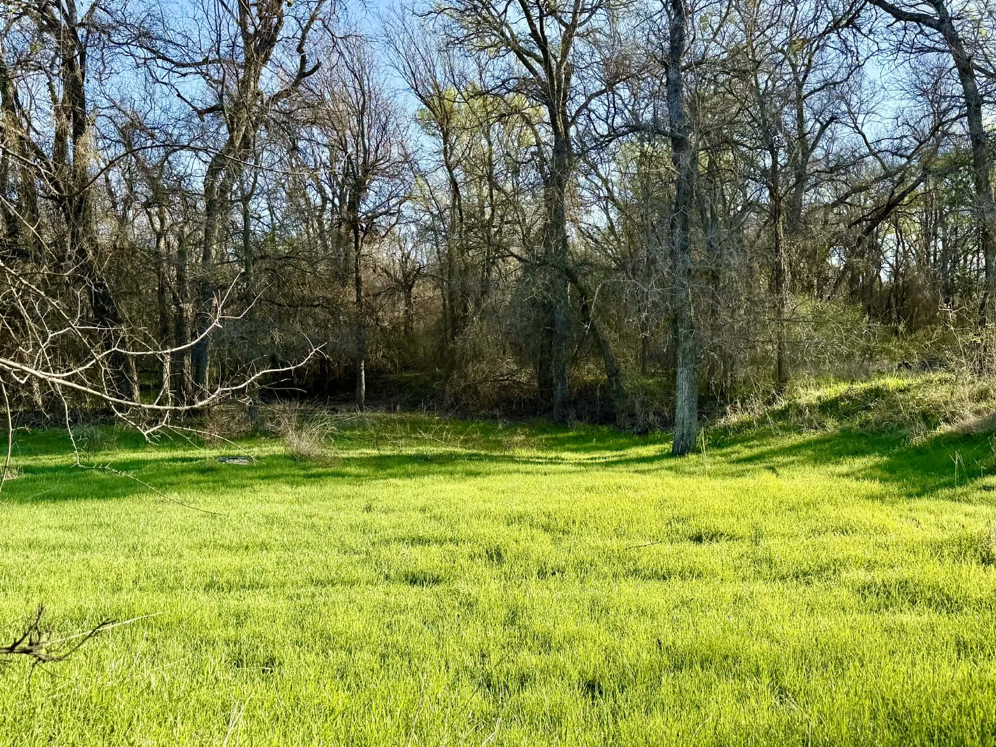 Tbd 20.02 Acres Cr 328 Dublin TX 76446