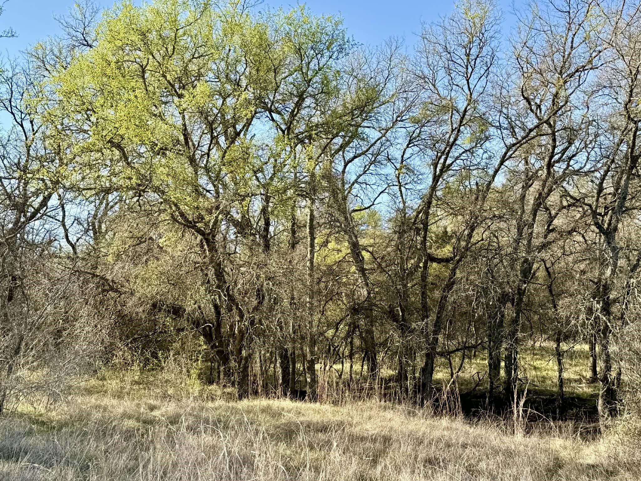 Tbd 20.02 Acres Cr 328 Dublin TX 76446