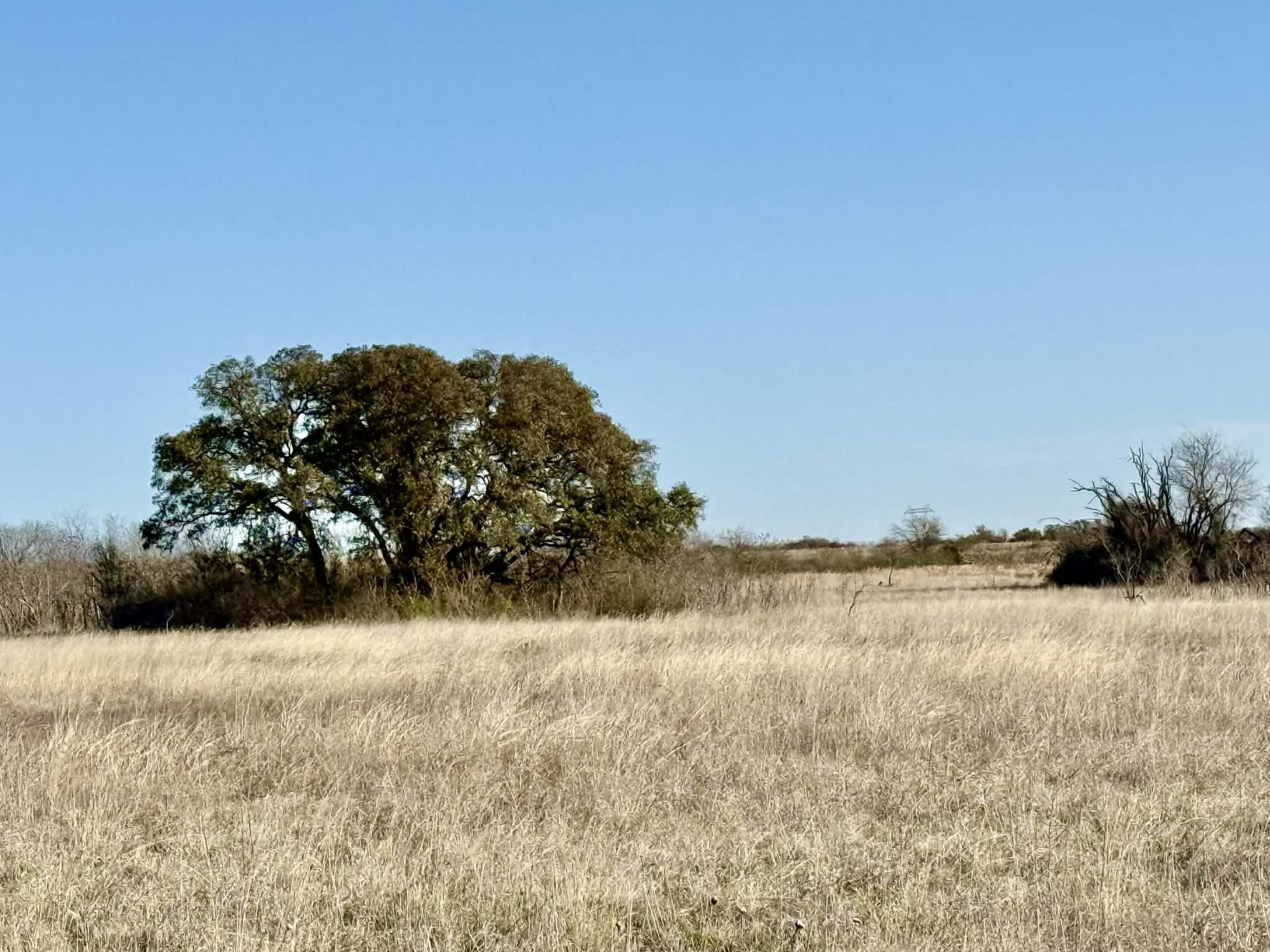 Tbd 20.02 Acres Cr 328 Dublin TX 76446