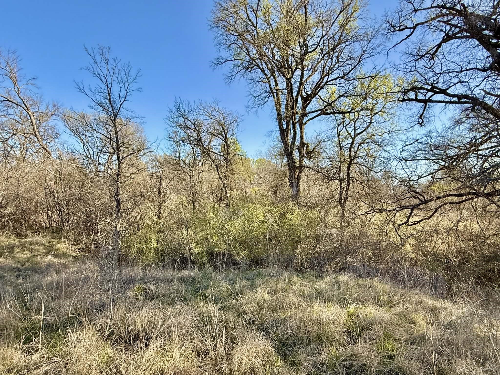 Tbd 20.02 Acres Cr 328 Dublin TX 76446