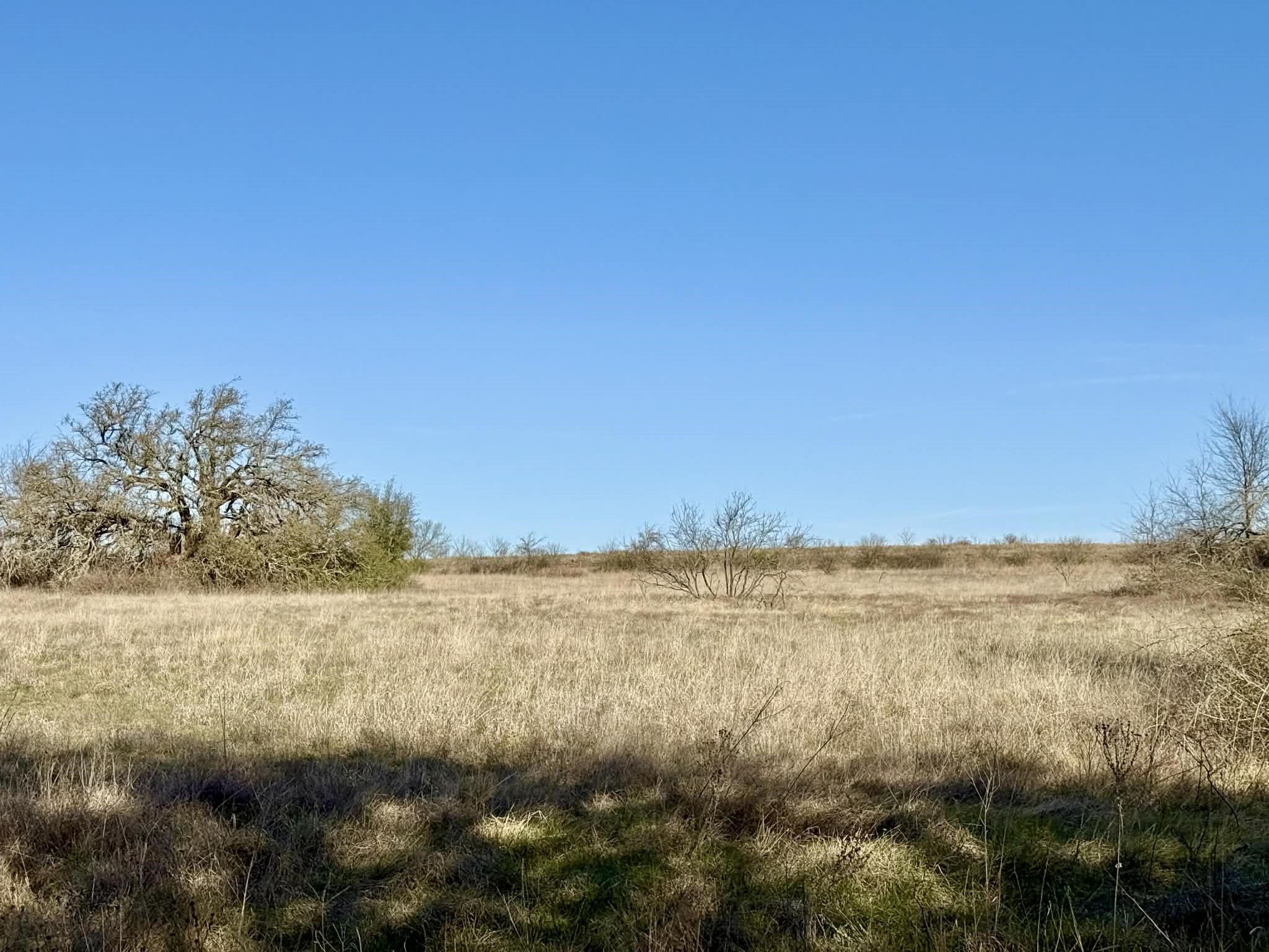 Tbd 20.02 Acres Cr 328 Dublin TX 76446