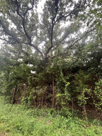 Tract 6 County Road 14720 Paris TX 75417