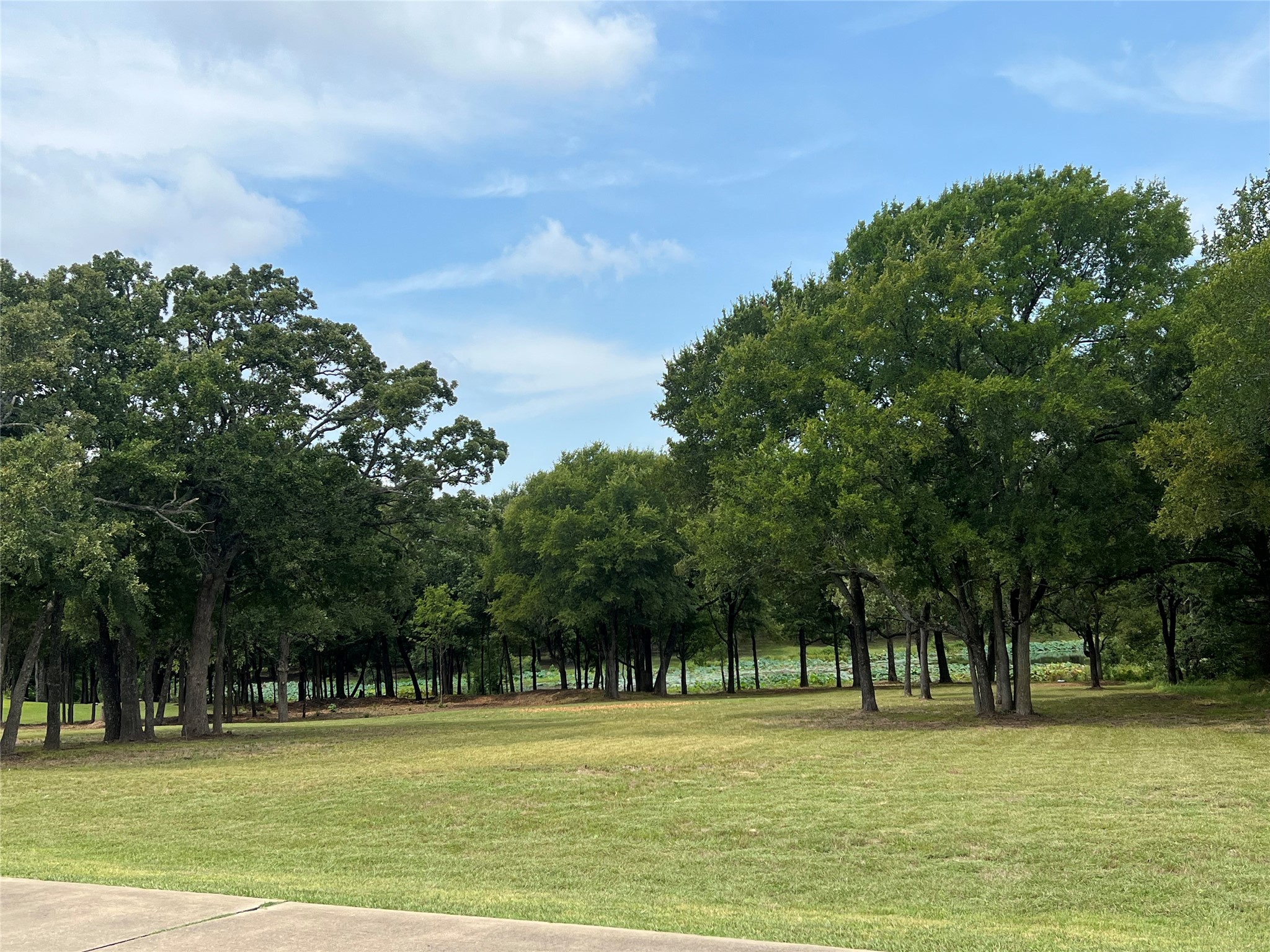 1121 Crystal Lake Drive Wills Point TX 75169