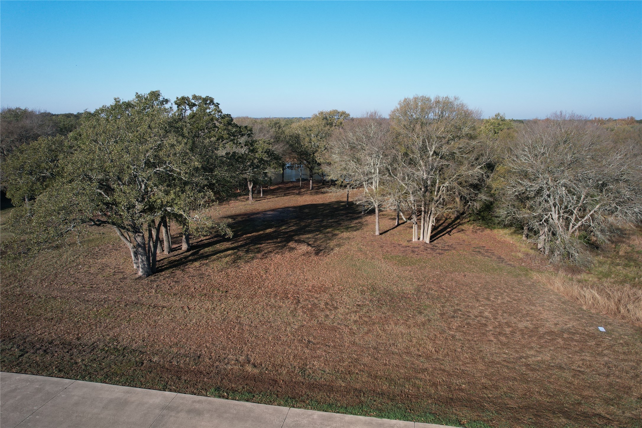 1121 Crystal Lake Drive Wills Point TX 75169
