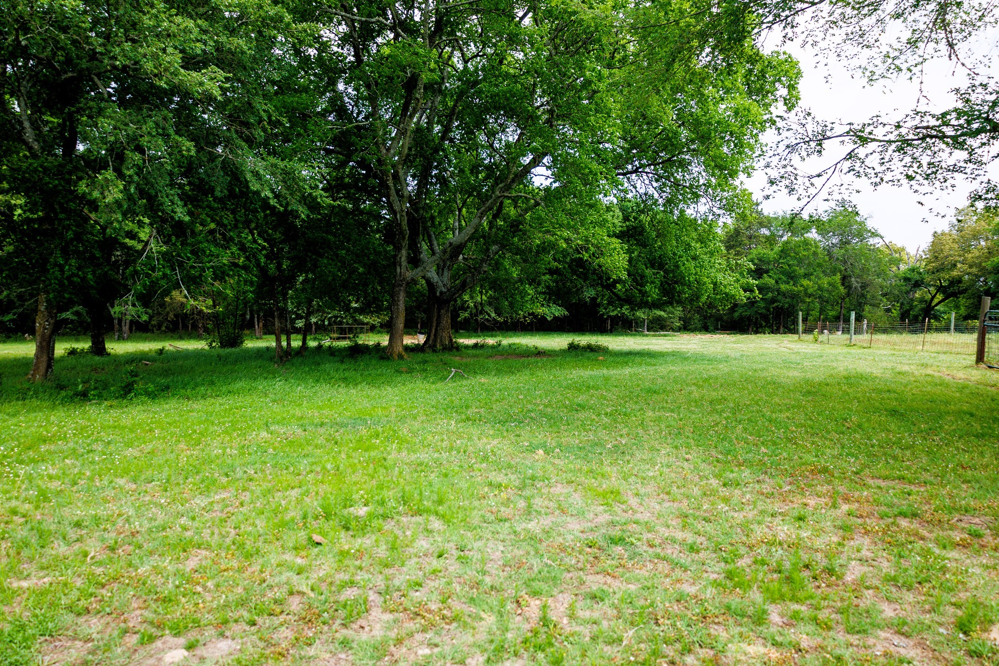 6100 Fm 314 Ben Wheeler TX 75754
