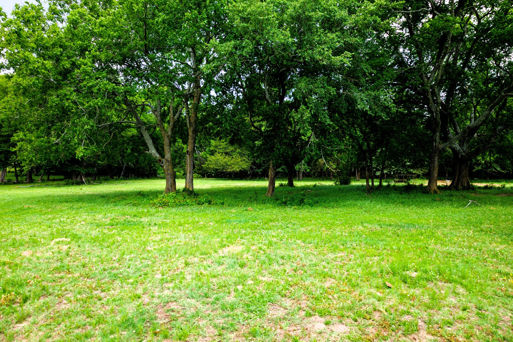 6100 Fm 314 Ben Wheeler TX 75754