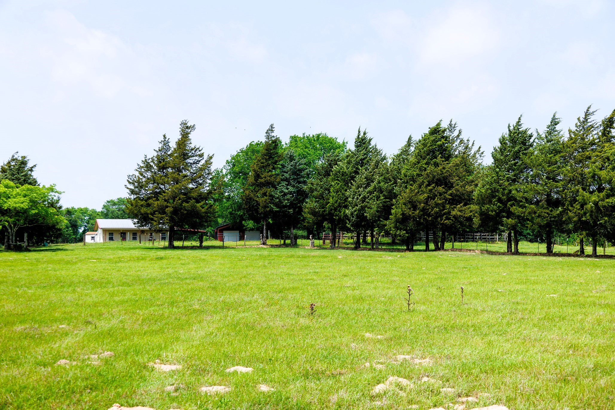 6100 Fm 314 Ben Wheeler TX 75754