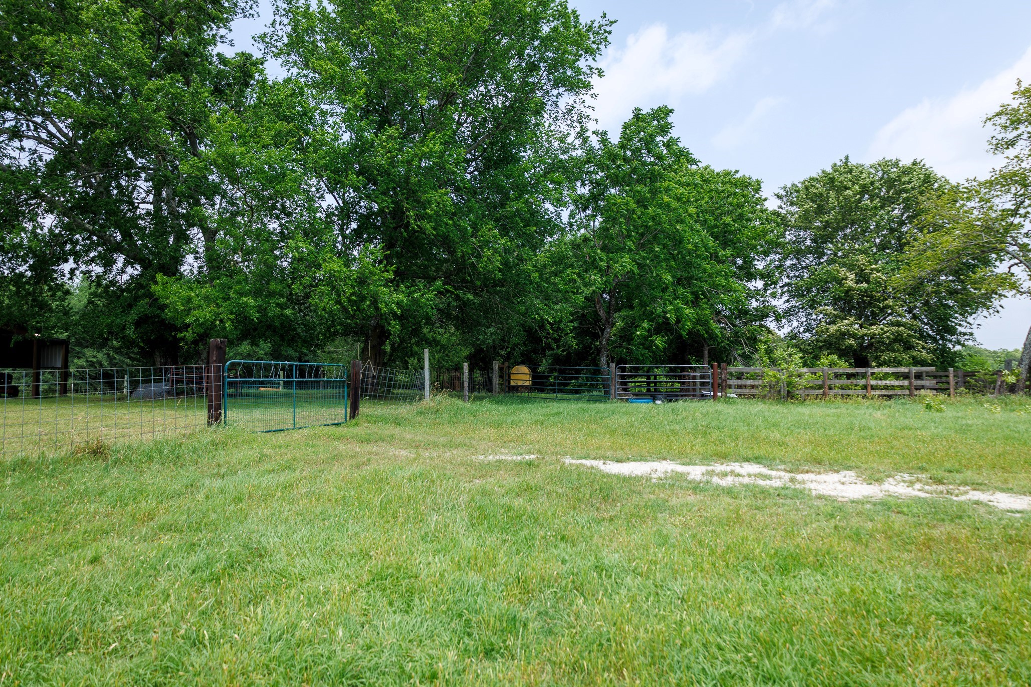 6100 Fm 314 Ben Wheeler TX 75754