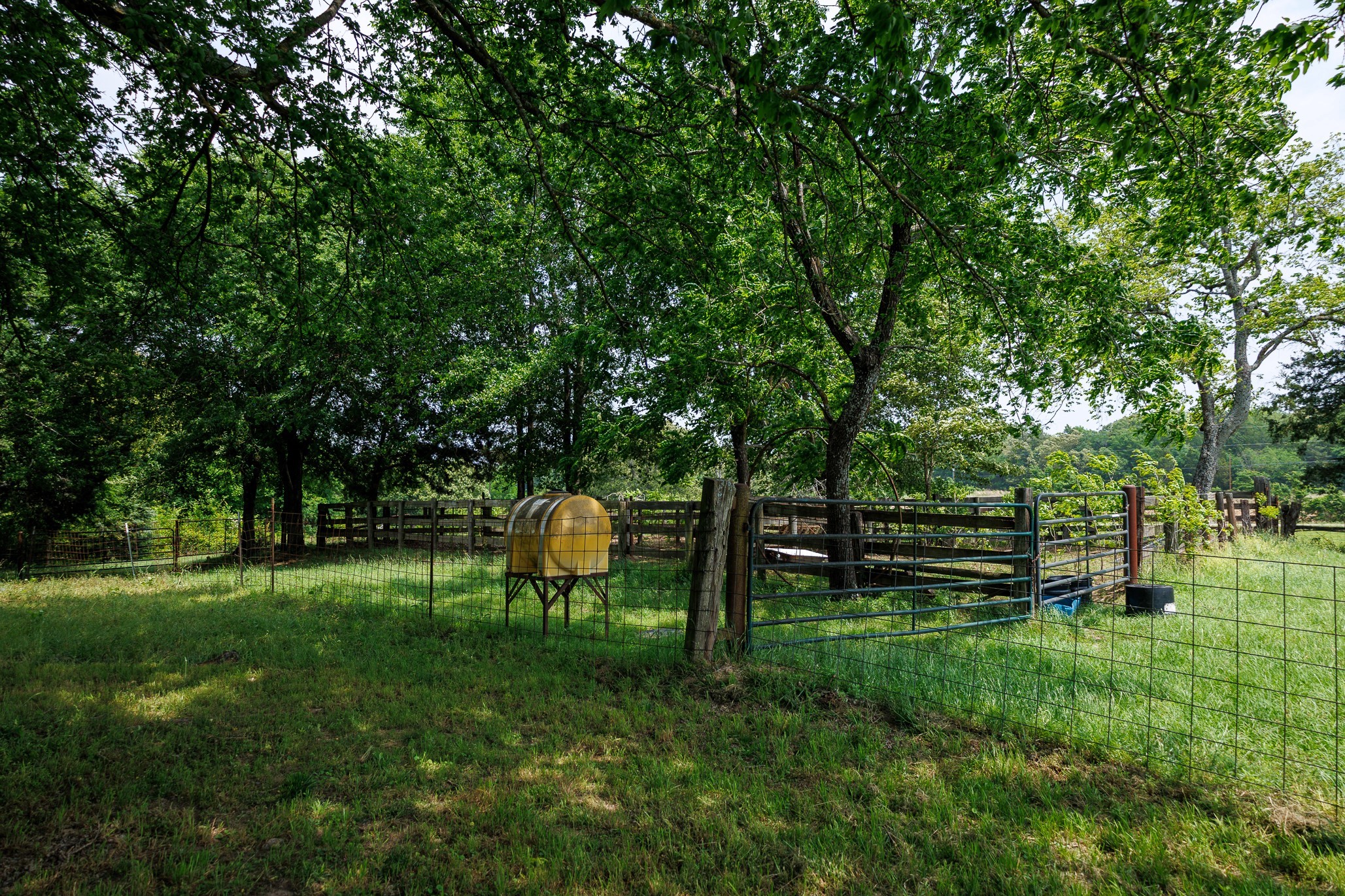 6100 Fm 314 Ben Wheeler TX 75754