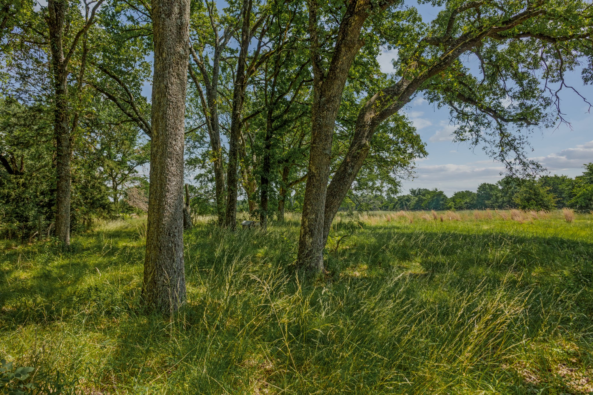 10398 Fm 429 Kaufman TX 75142