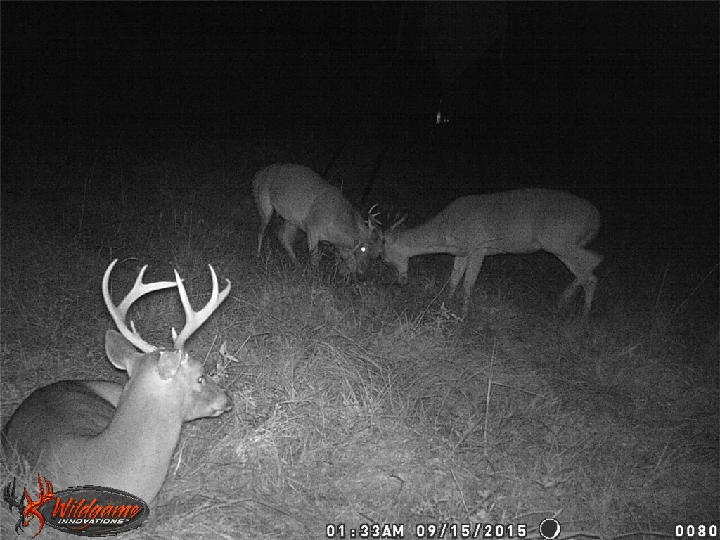 2280 County Road 129 Tyler TX 75703