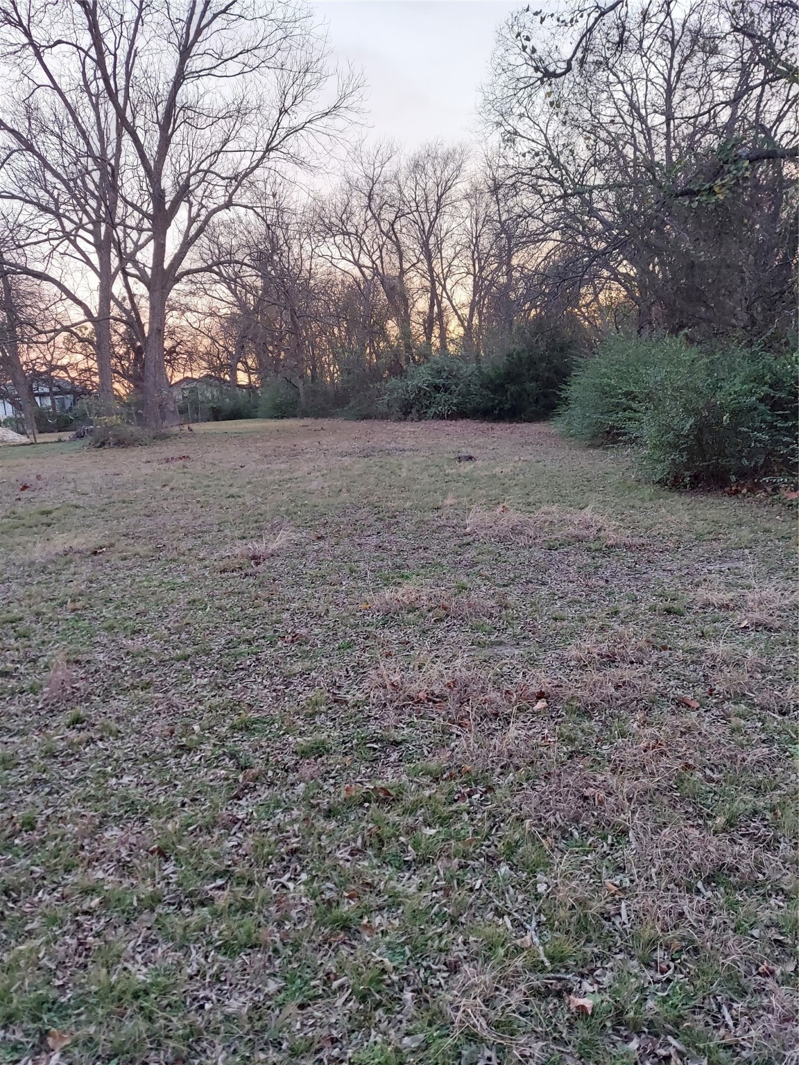 Tbd Jackson Street Commerce TX 75428