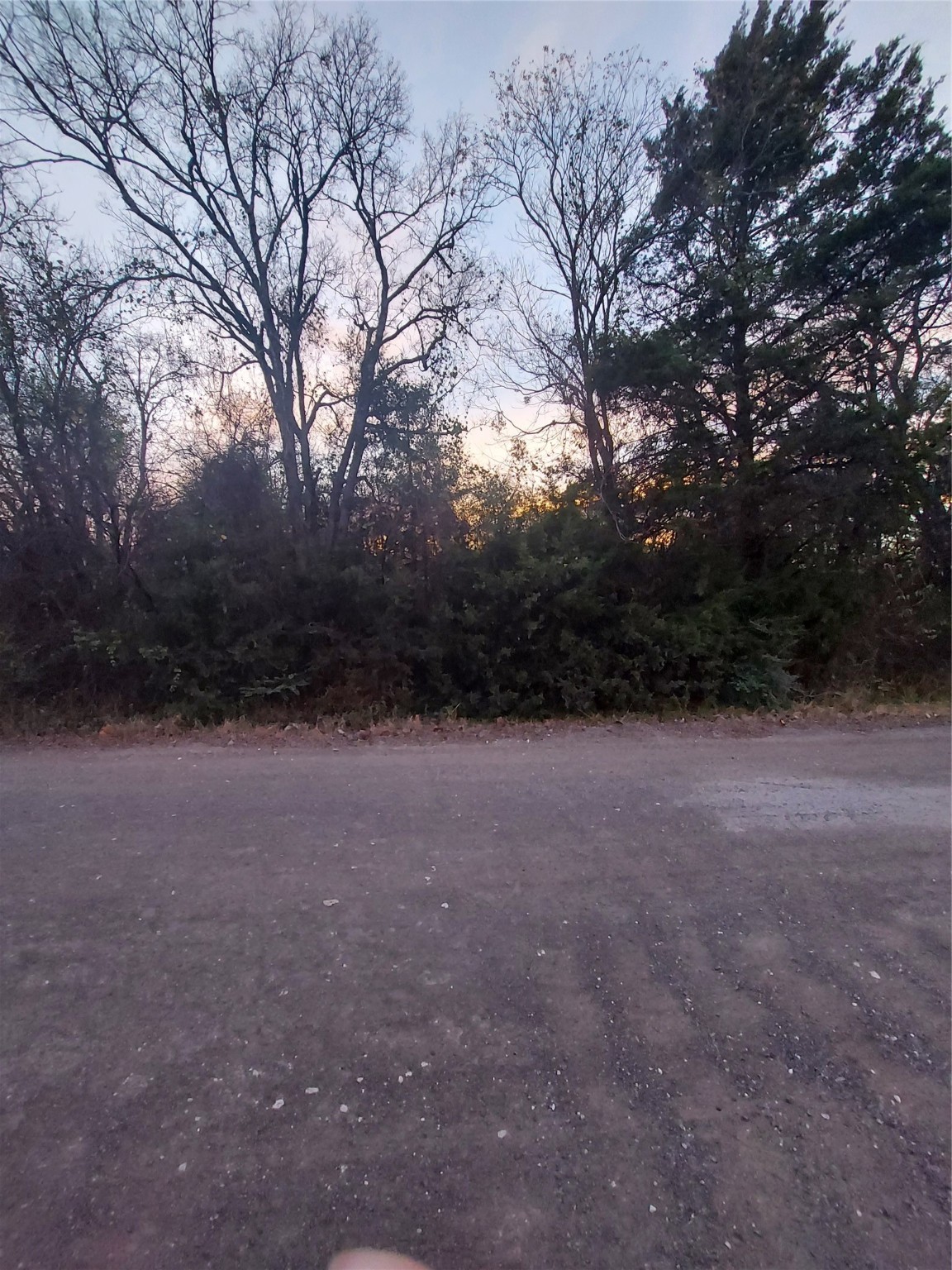 Tbd Jackson Street Commerce TX 75428