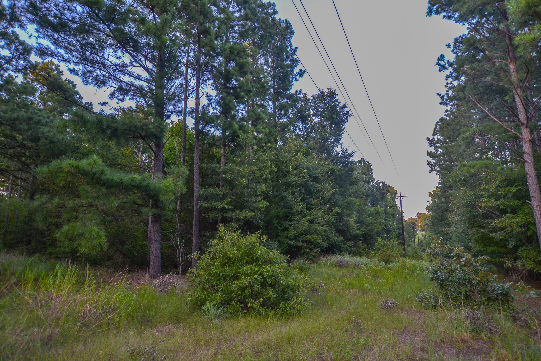 Tract 3 Highway 155 Frankston TX 75763