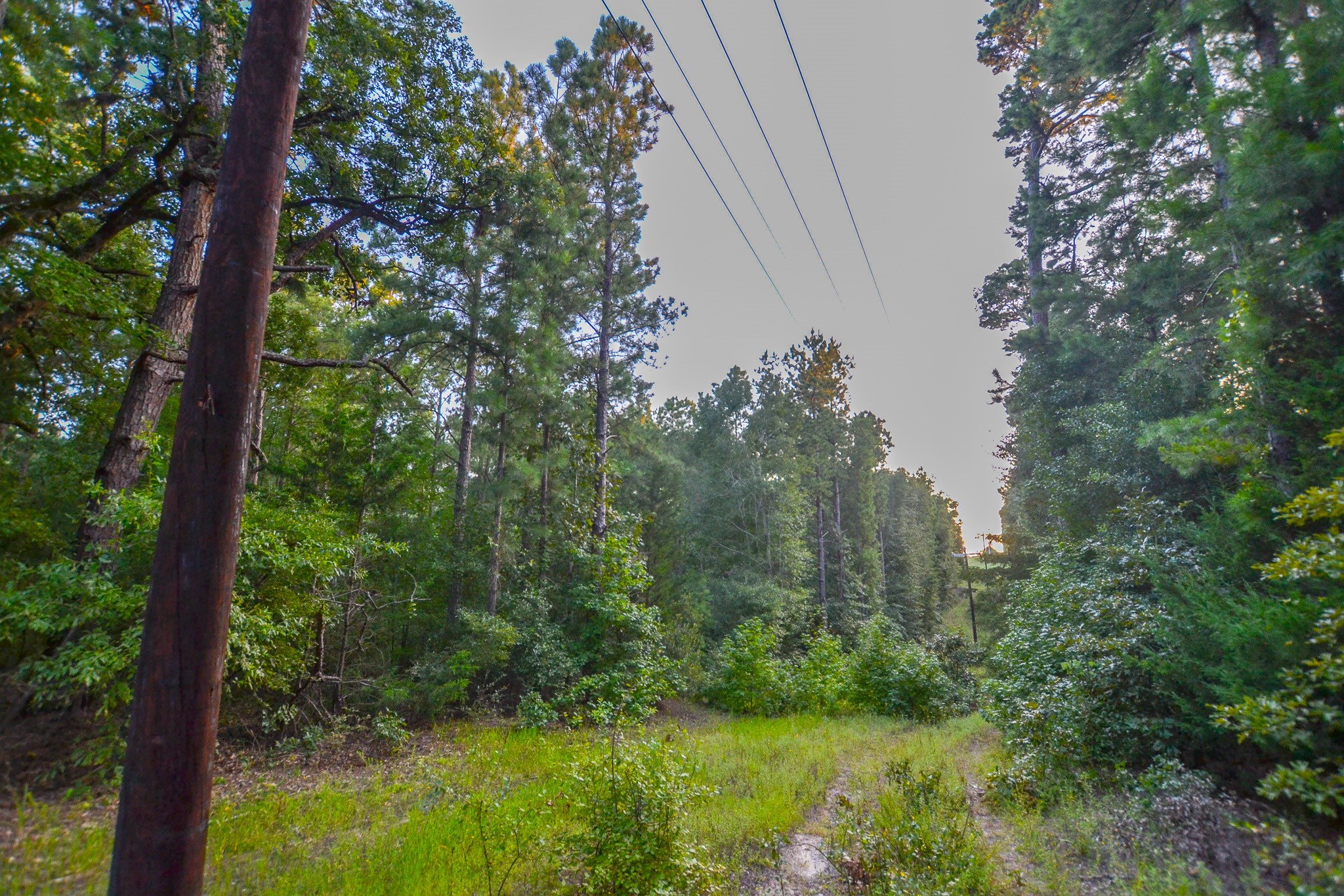 Tract 3 Highway 155 Frankston TX 75763
