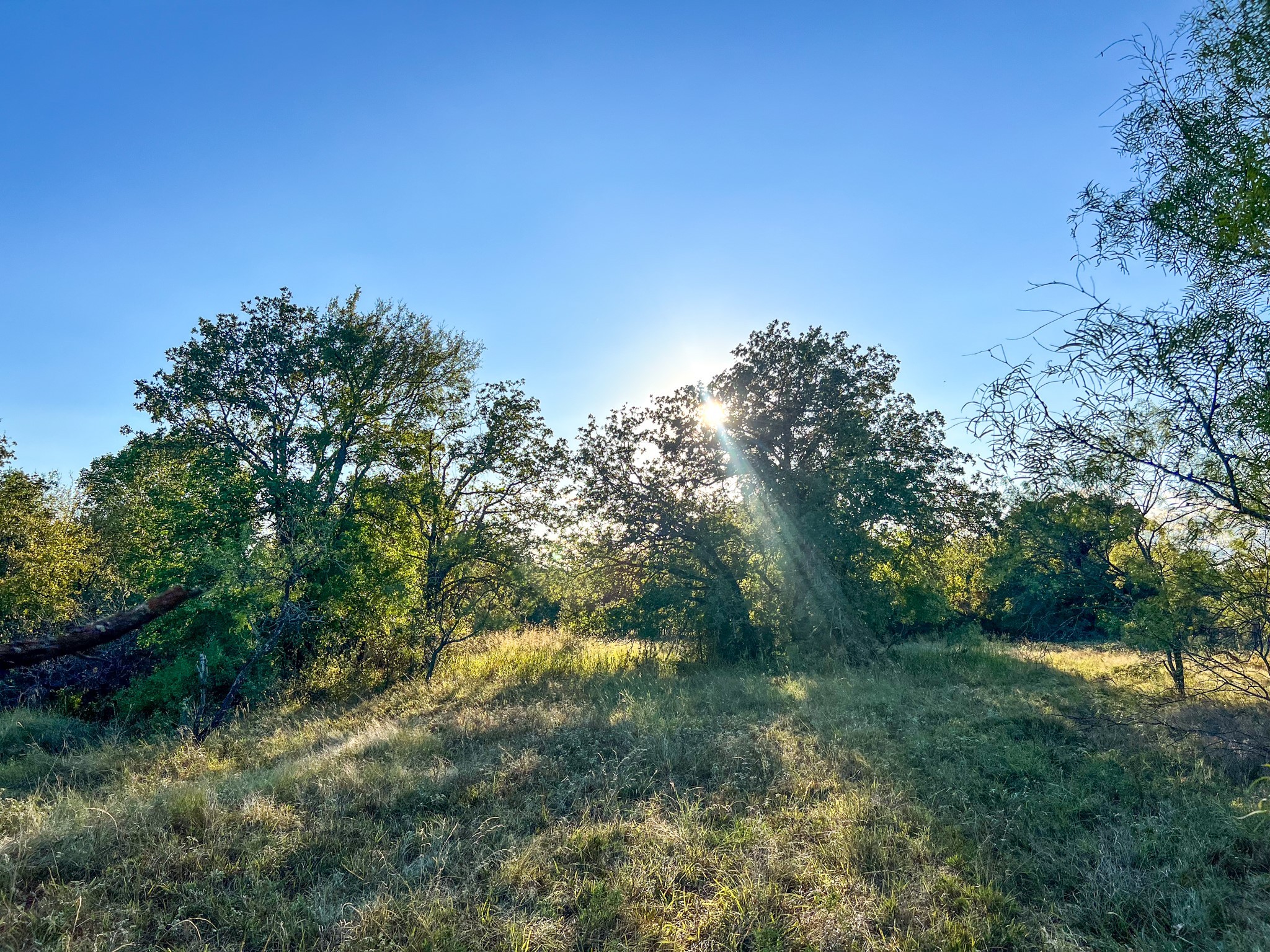 4000 Luciano Drive Weatherford TX 76087