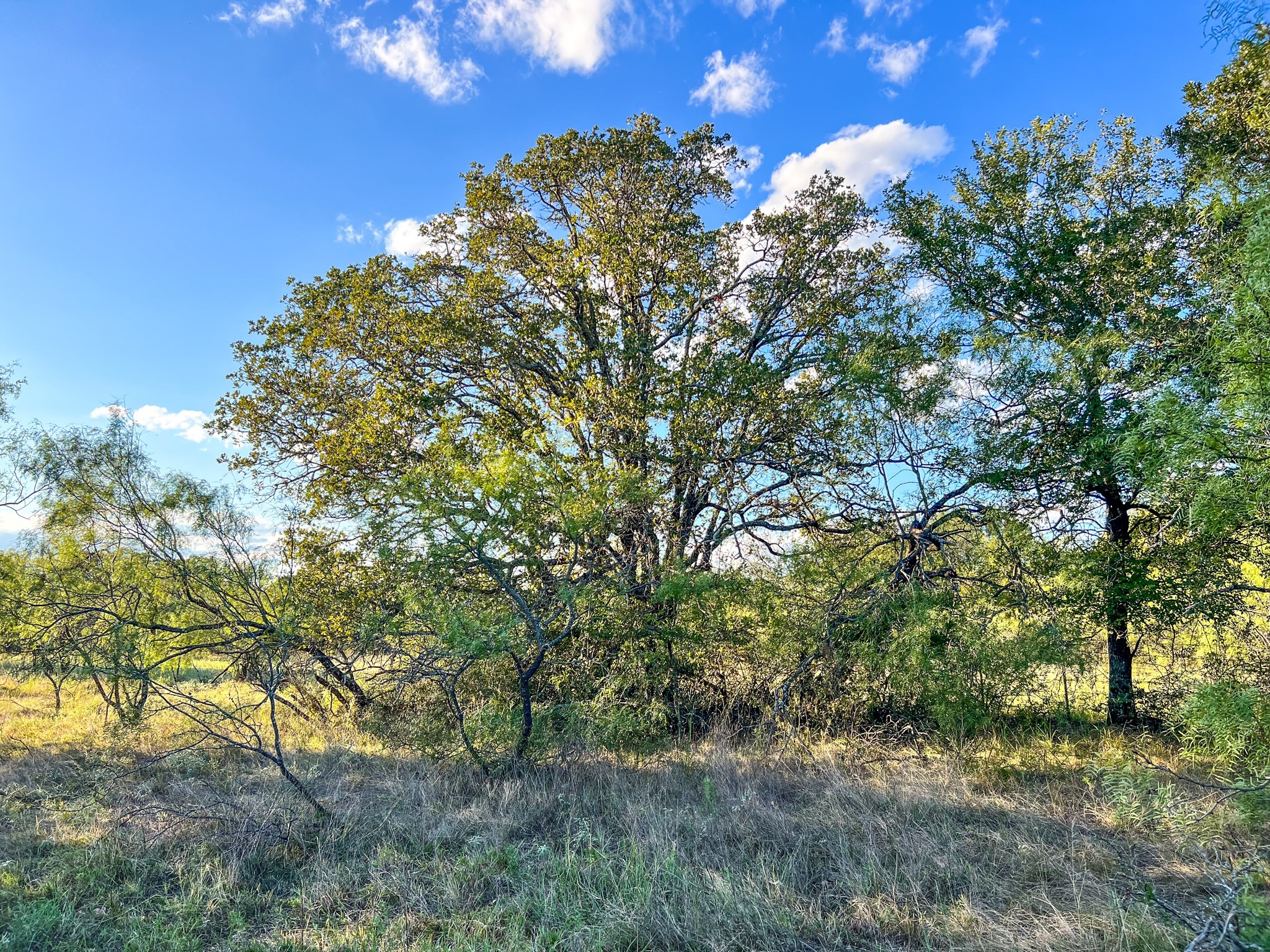 4000 Luciano Drive Weatherford TX 76087