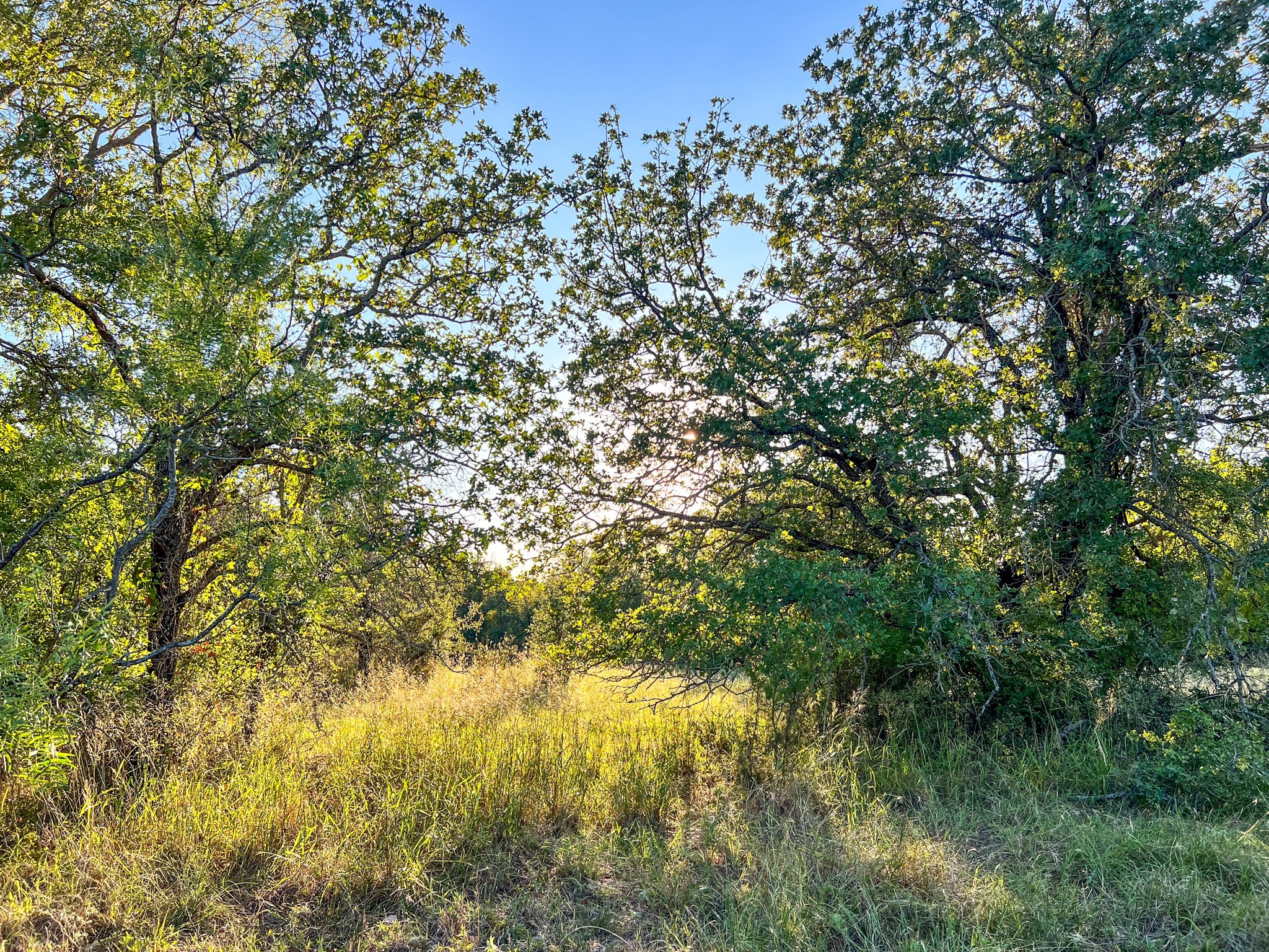 4000 Luciano Drive Weatherford TX 76087