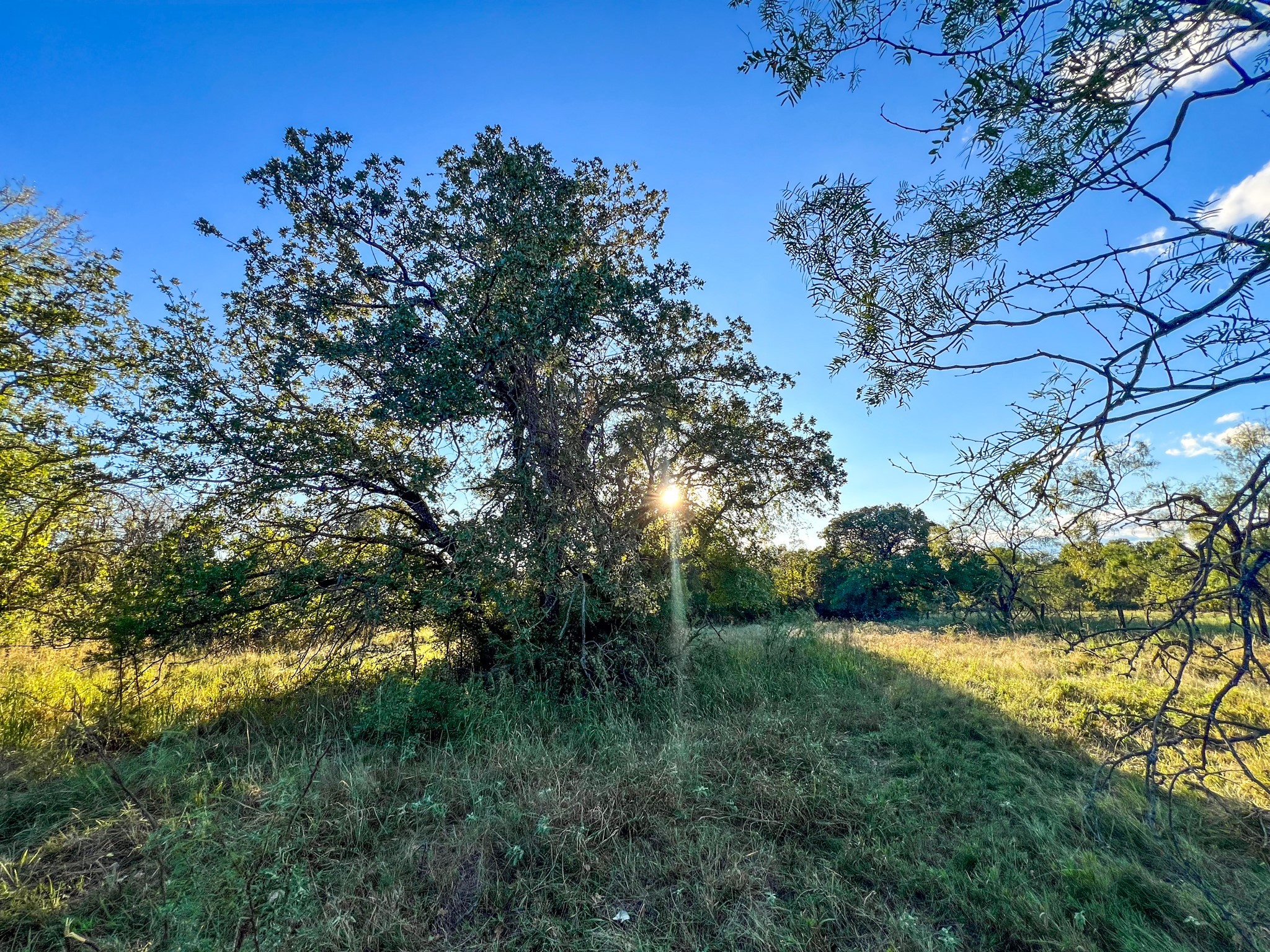 4000 Luciano Drive Weatherford TX 76087