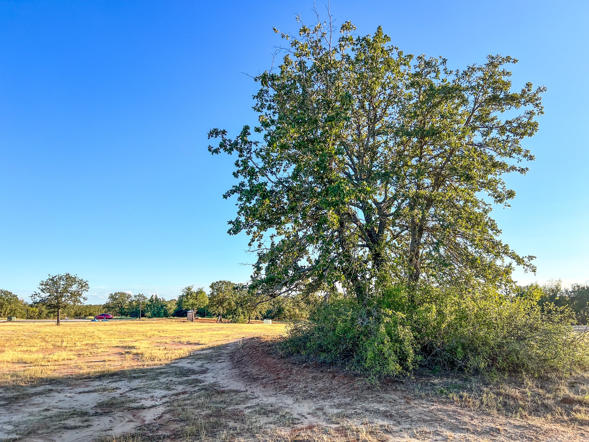 4000 Luciano Drive Weatherford TX 76087