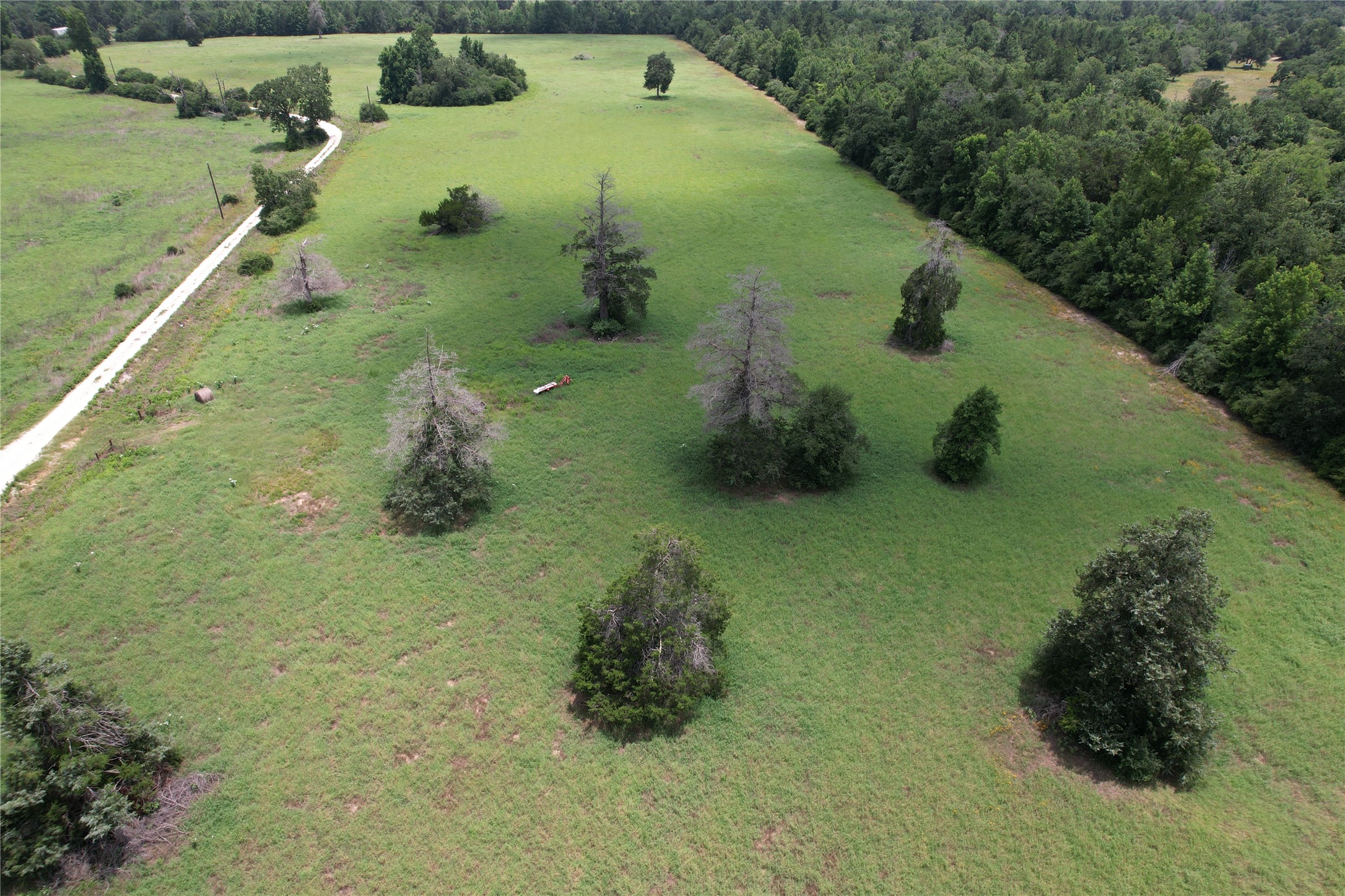 Trail 13 Private Road 1310 Centerville TX 75833